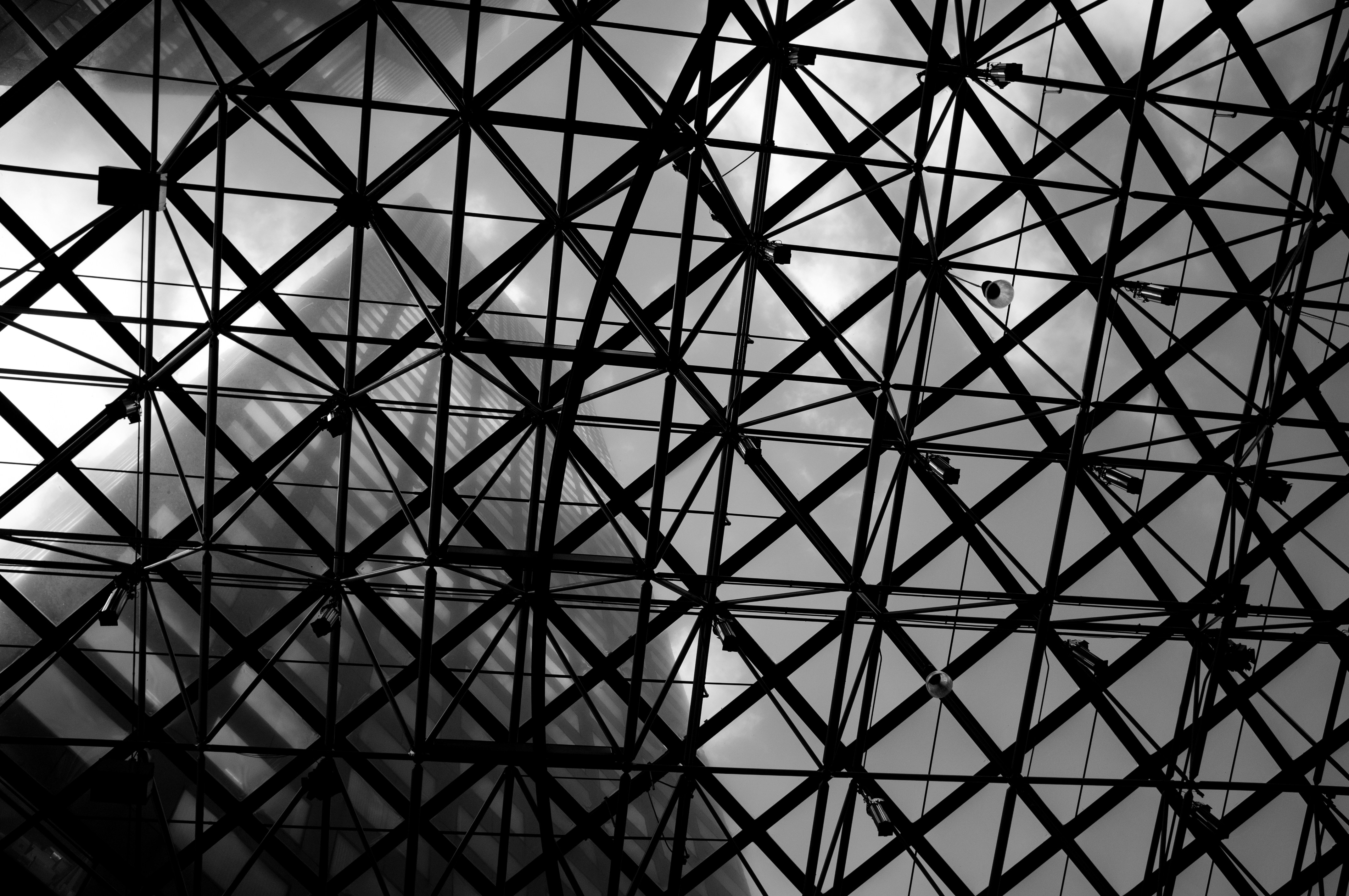 Free Unsplash photo from thanh t