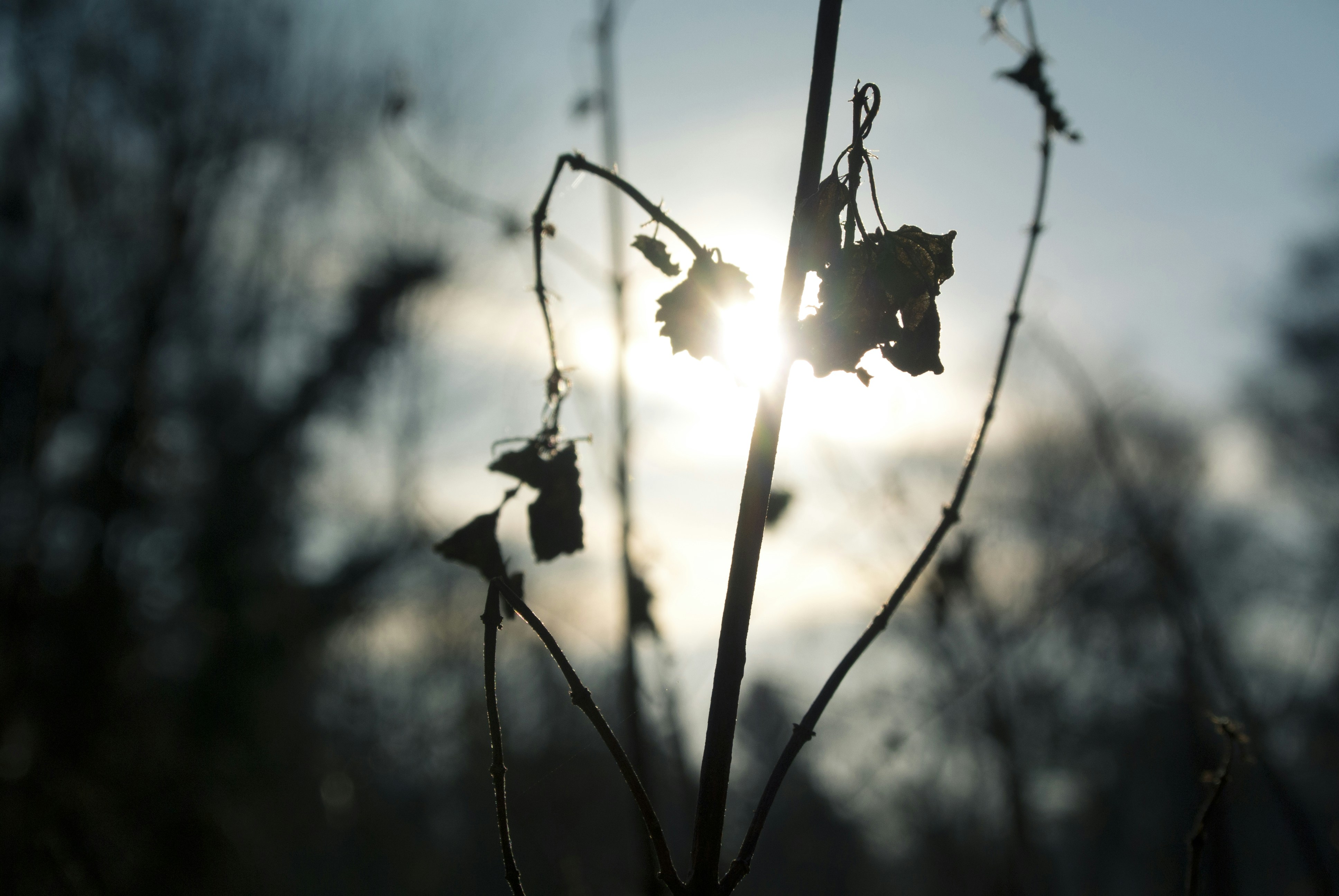 Free Unsplash photo from Jonathan Pielmayer