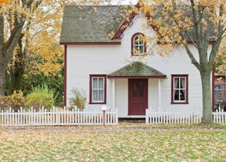 white house under maple trees