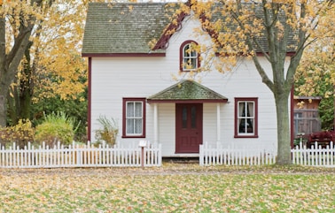 white house under maple trees