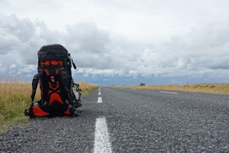 A large hiking backpack rests on the side of a long, empty road that stretches into the distance. The sky is overcast with thick, gray clouds, and golden fields of grass line the road on either side. The setting conveys a sense of solitude and adventure.