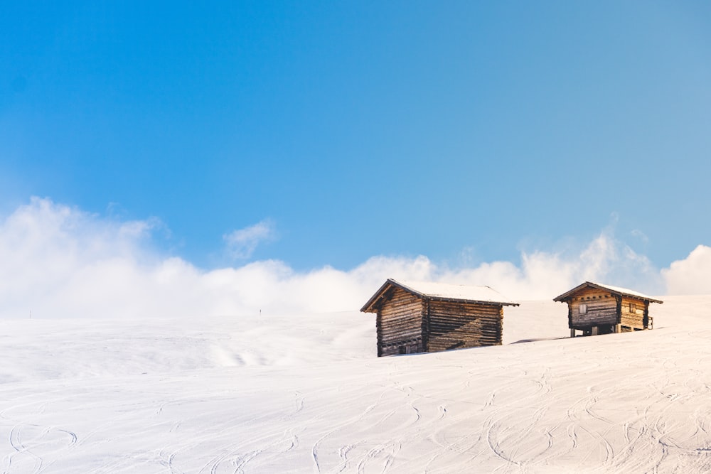 Casas cobertas de campo de neve