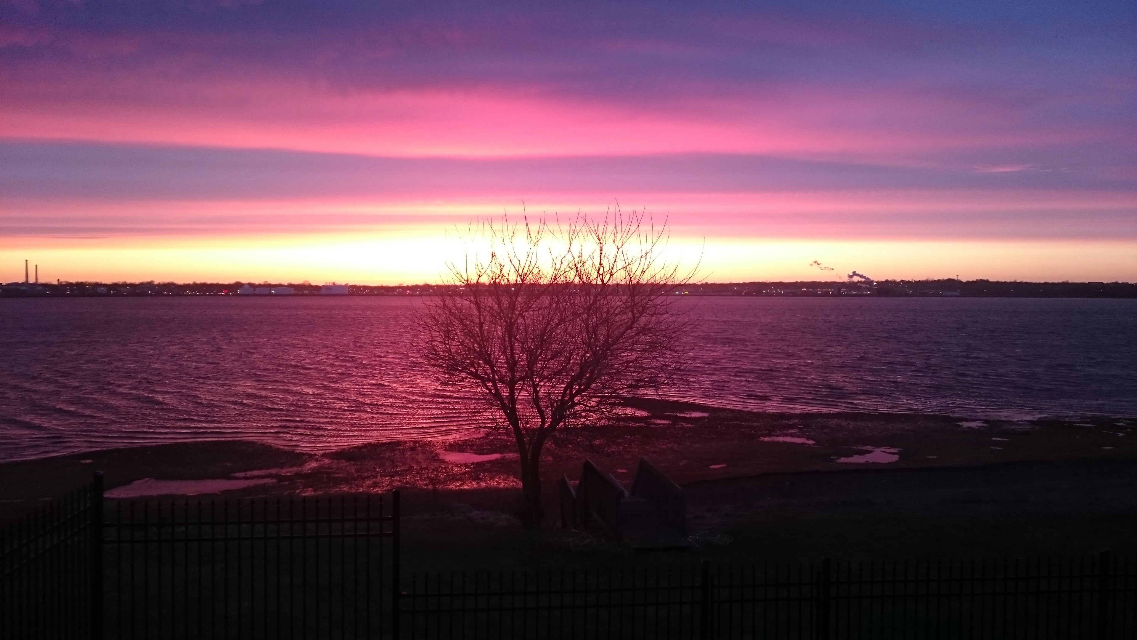 Free Unsplash photo from Holly  Acorn