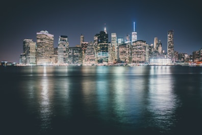 brown and black buildings near body of water