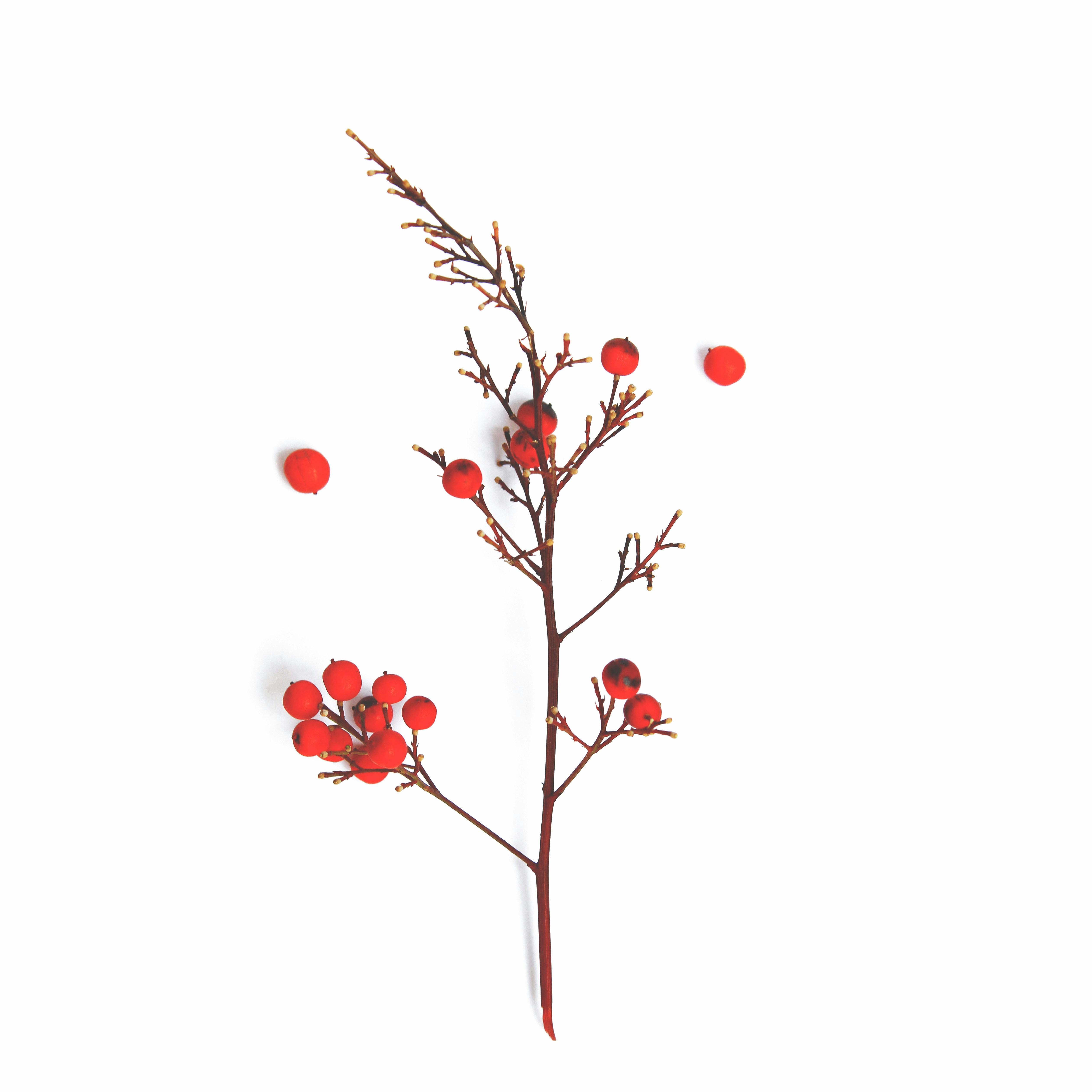 Free Unsplash photo from Selin Haciisaoğlu