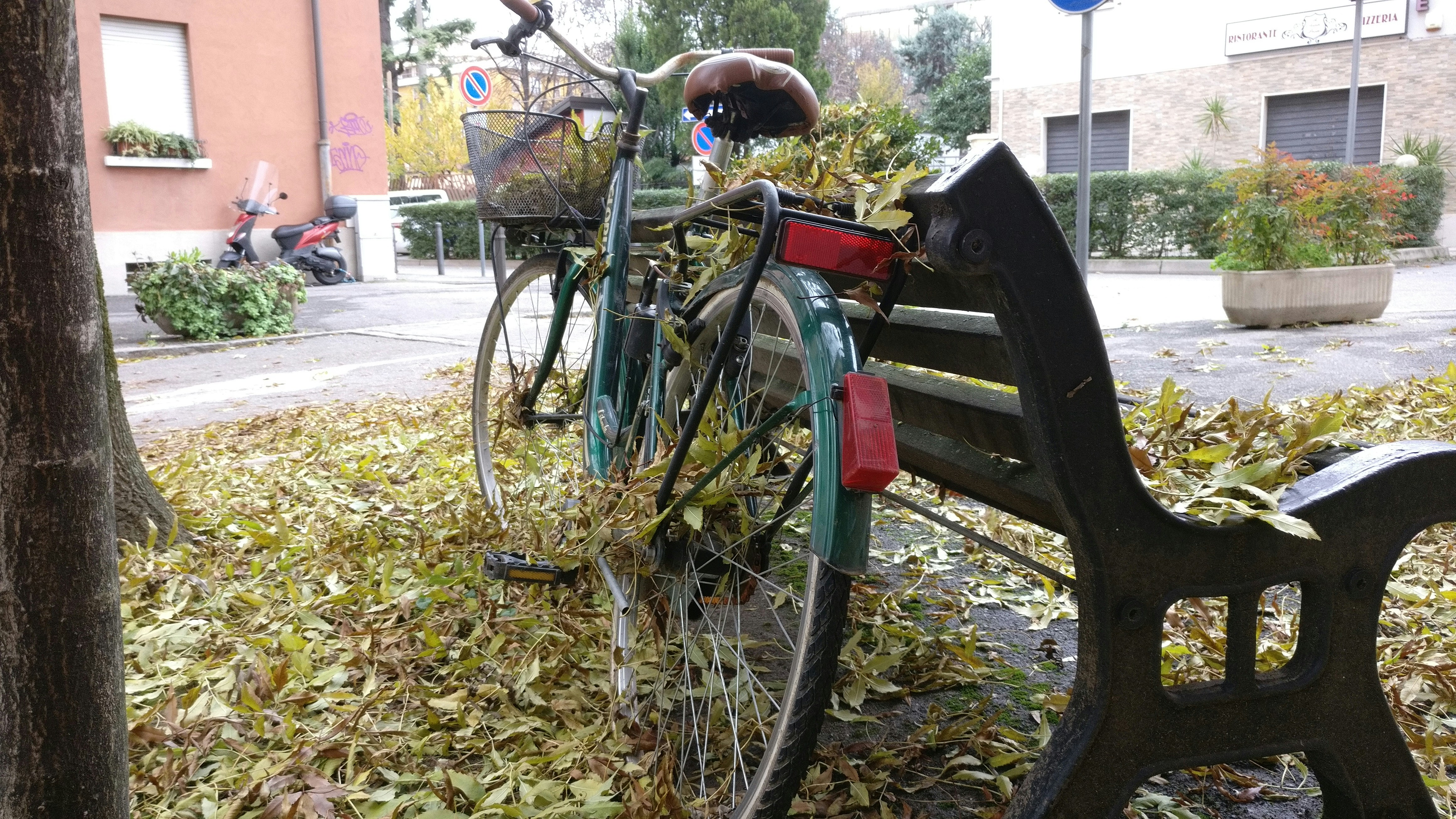 Free Unsplash photo from Daniel Burlacu