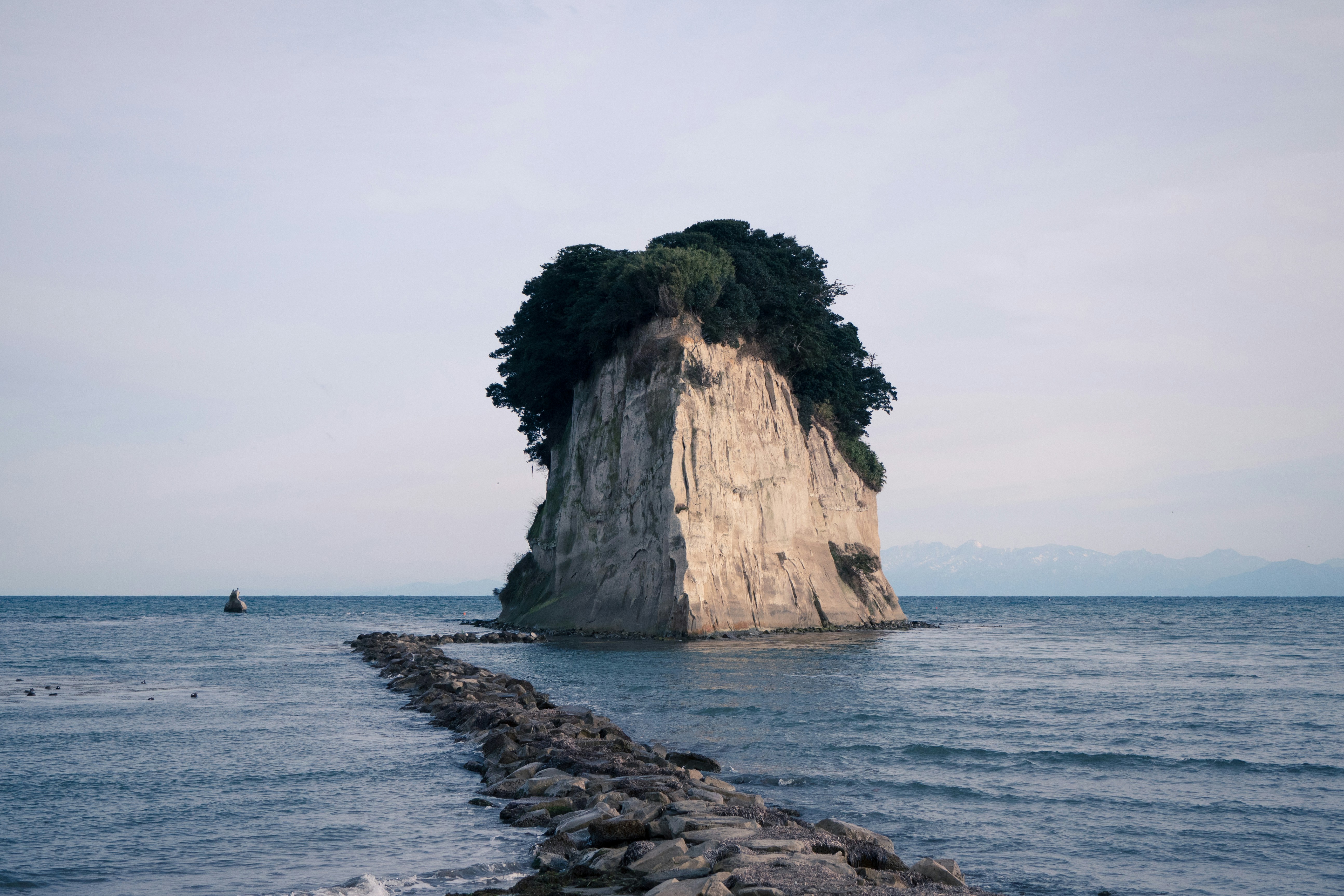 Free Unsplash photo from Sora Sagano