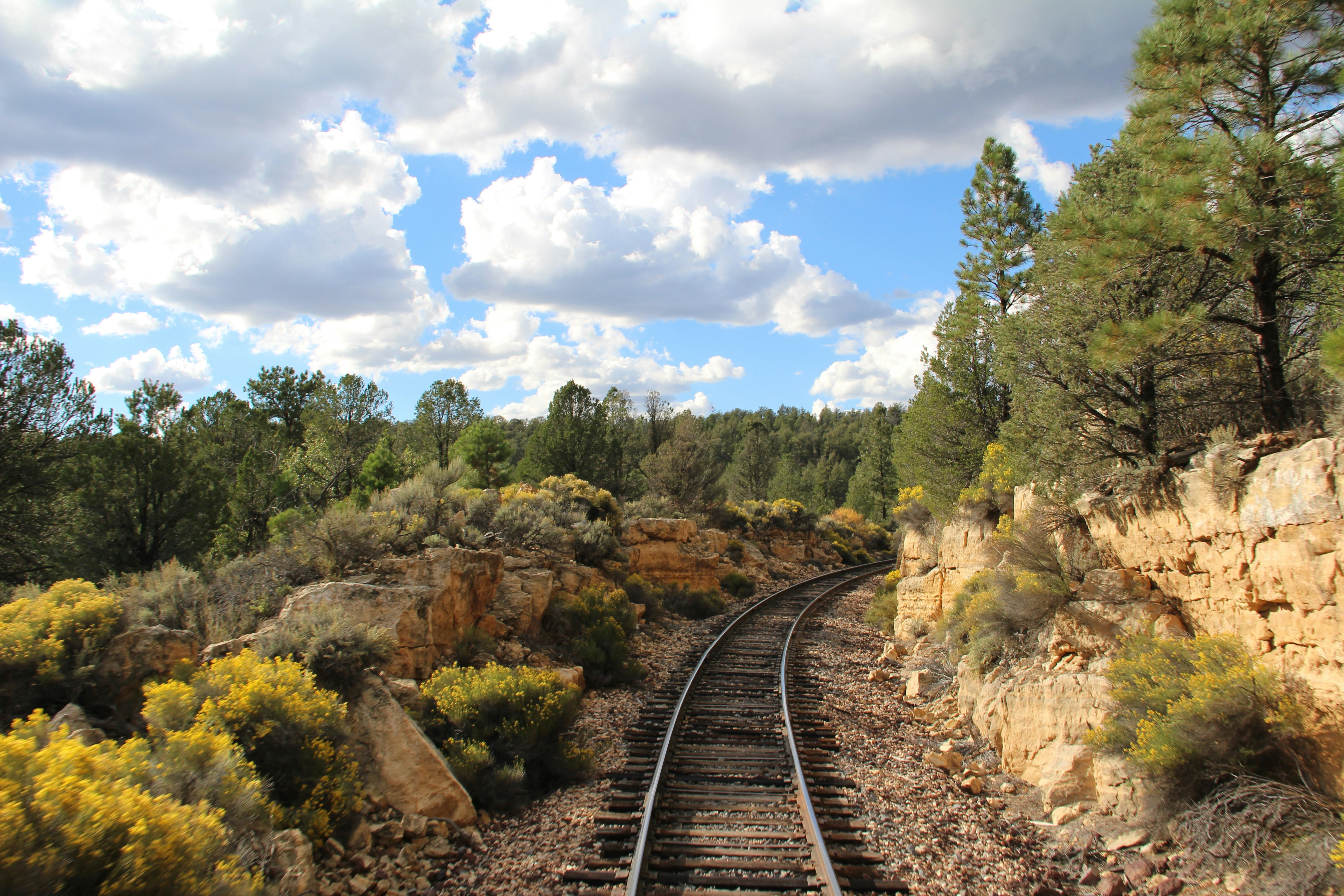 Free Unsplash photo from Michael Beener