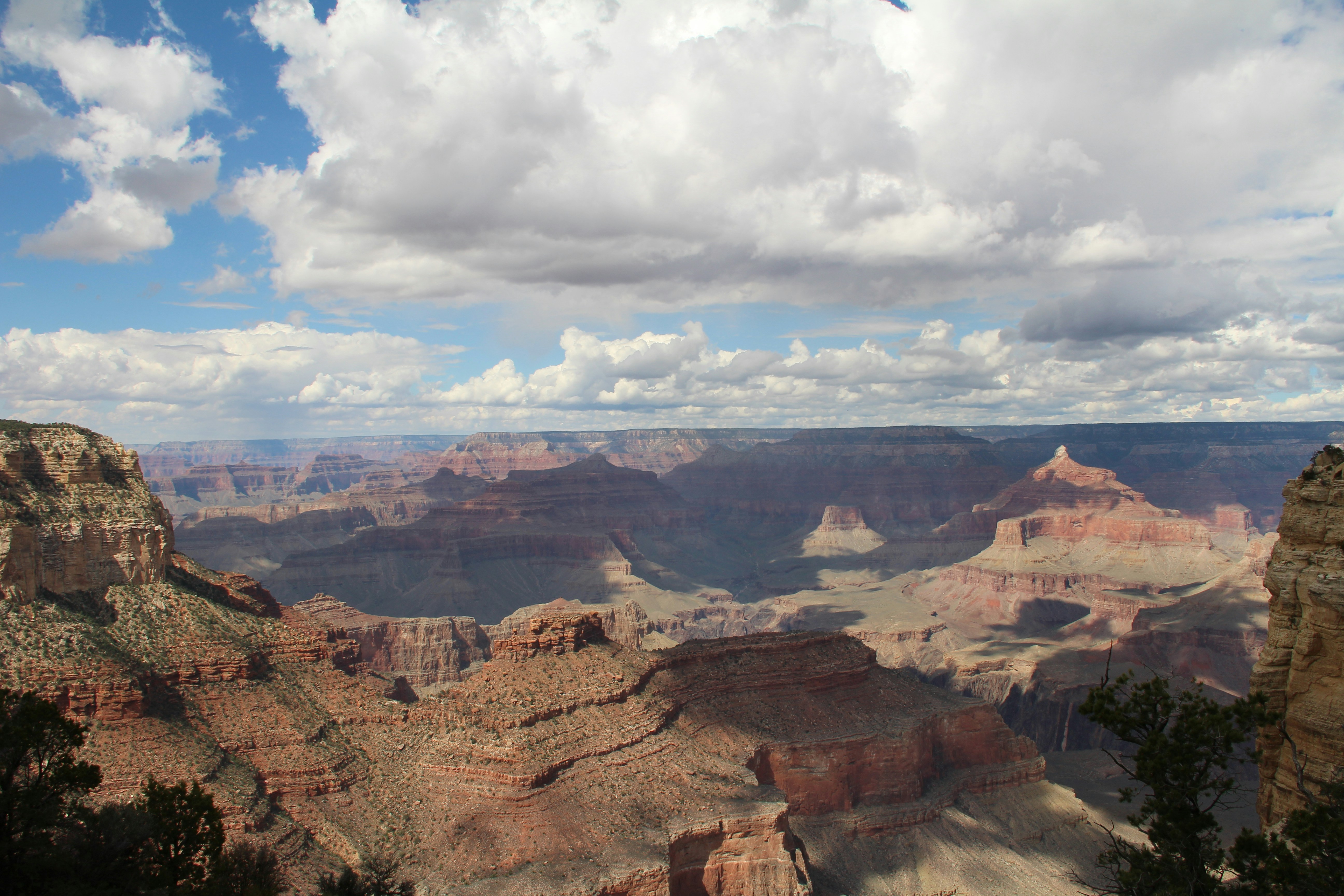 Free Unsplash photo from Michael Beener