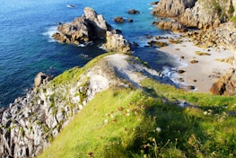 A scenic viewpoint overlooking lush nature trails and rugged coastline of Tenerife.