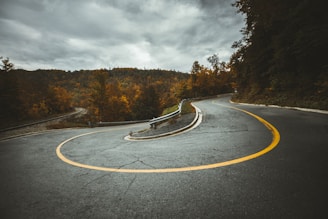 aerial view of highway near trees