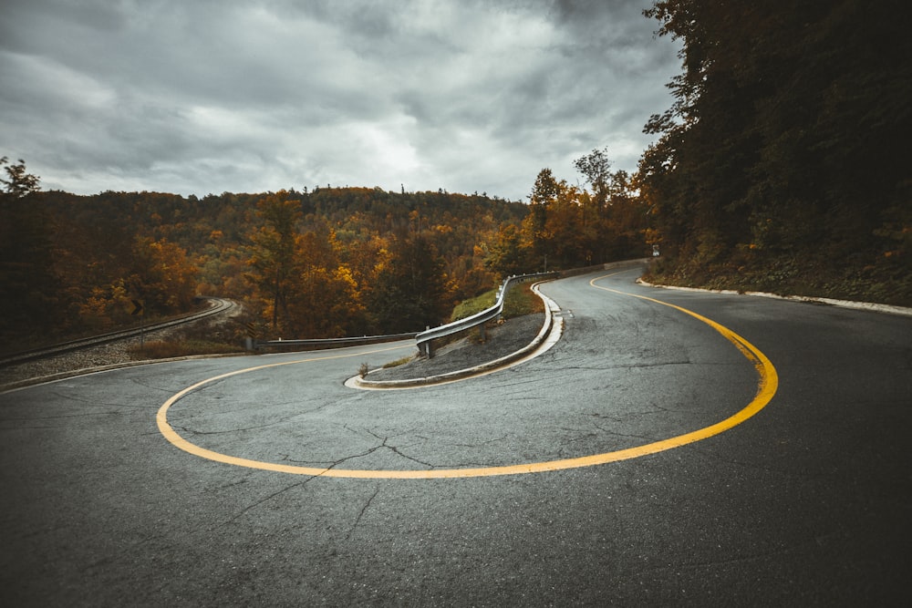 aerial view of highway near trees