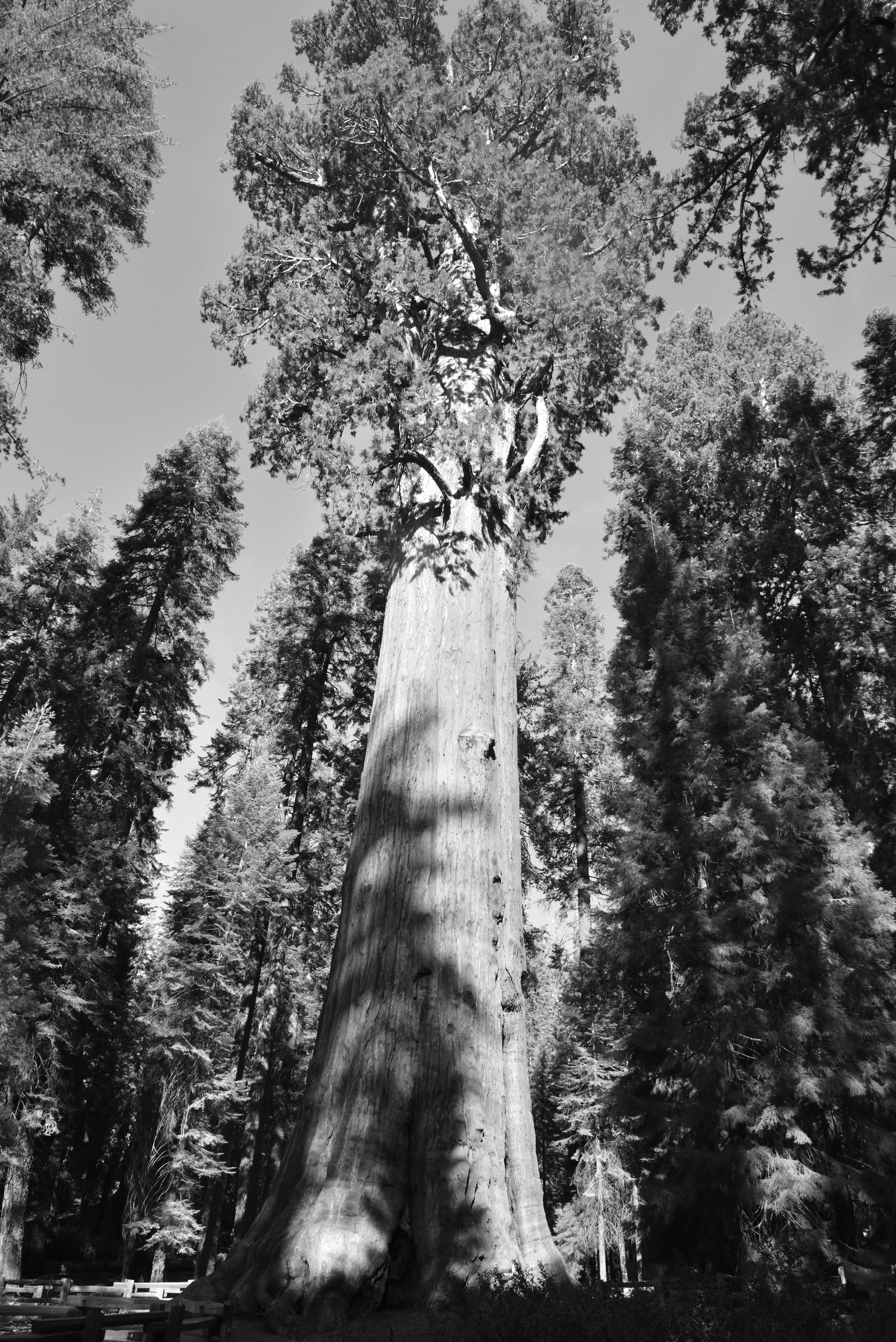 Free Unsplash photo from Varadh Jain