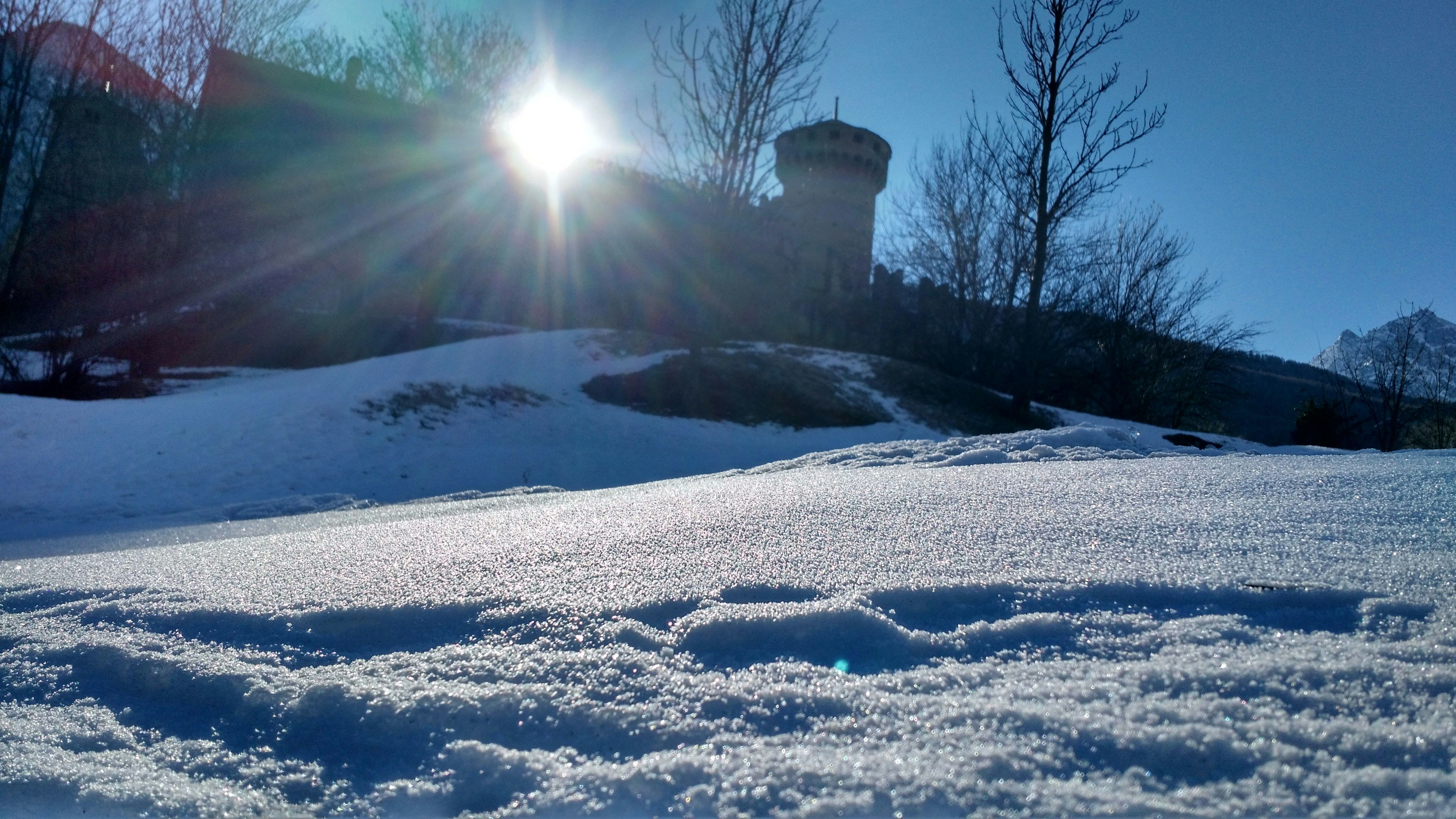 Free Unsplash photo from Roger Nicolodi