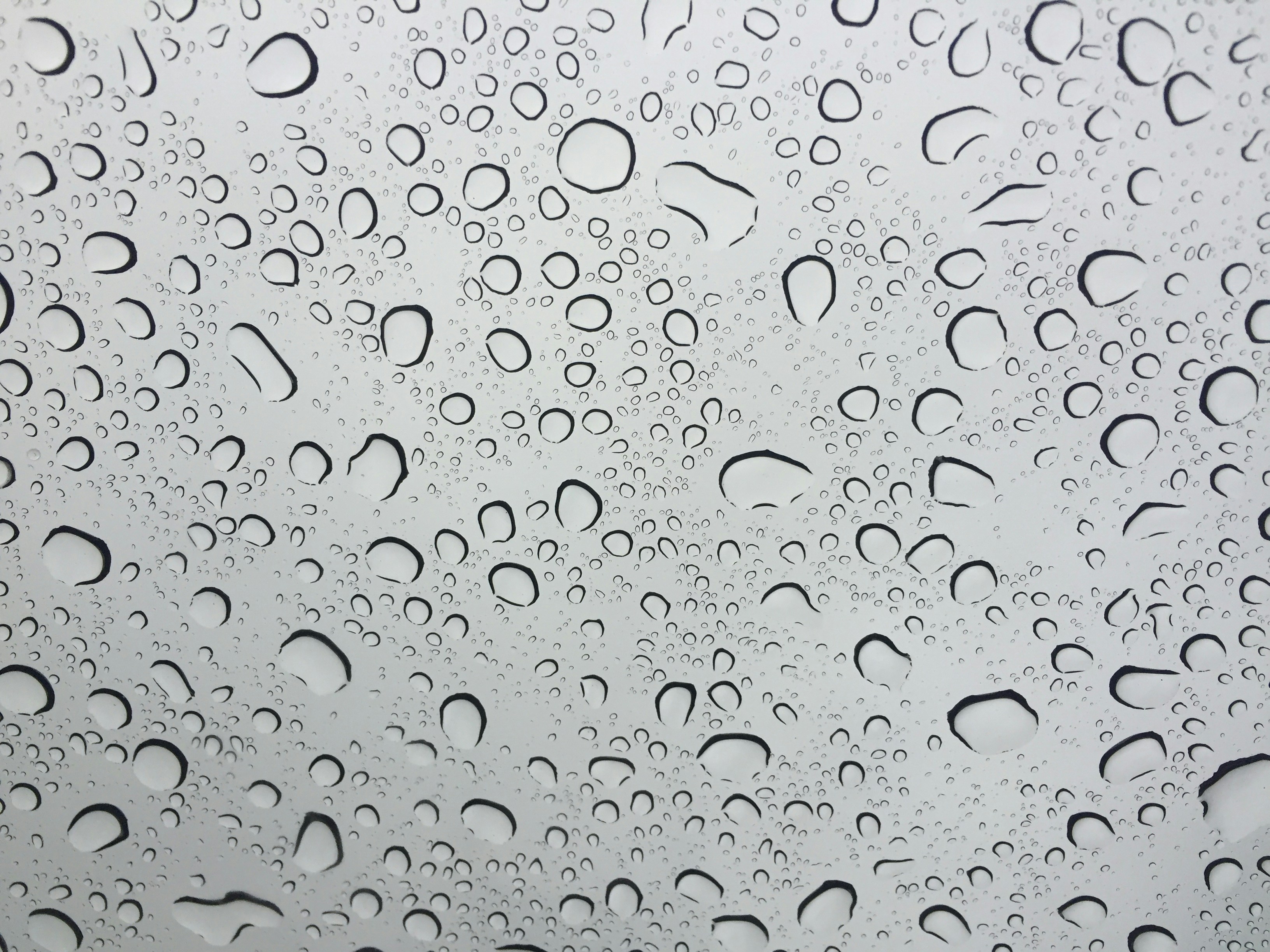 Free Unsplash photo from William Felker