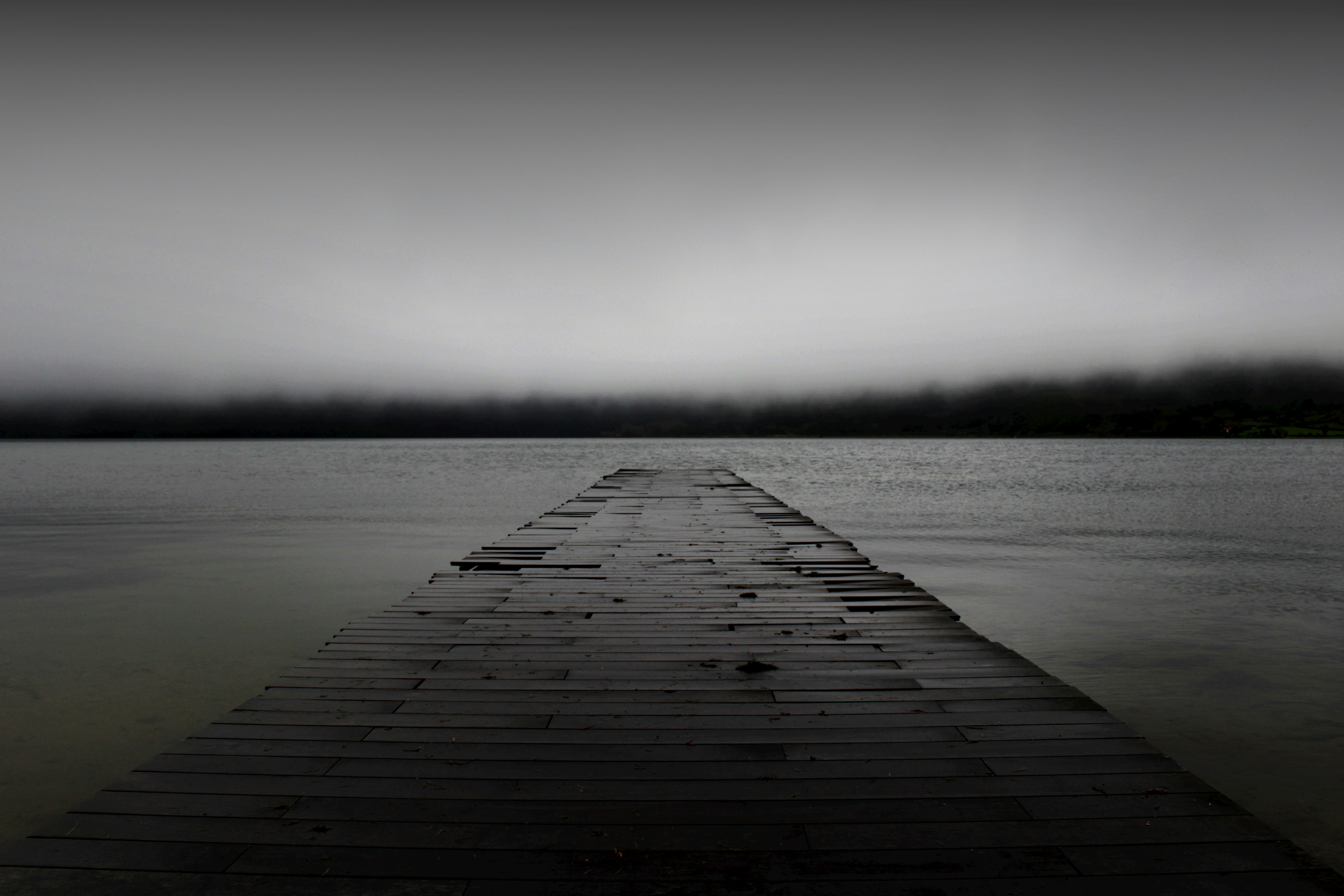 grayscale photography of dock