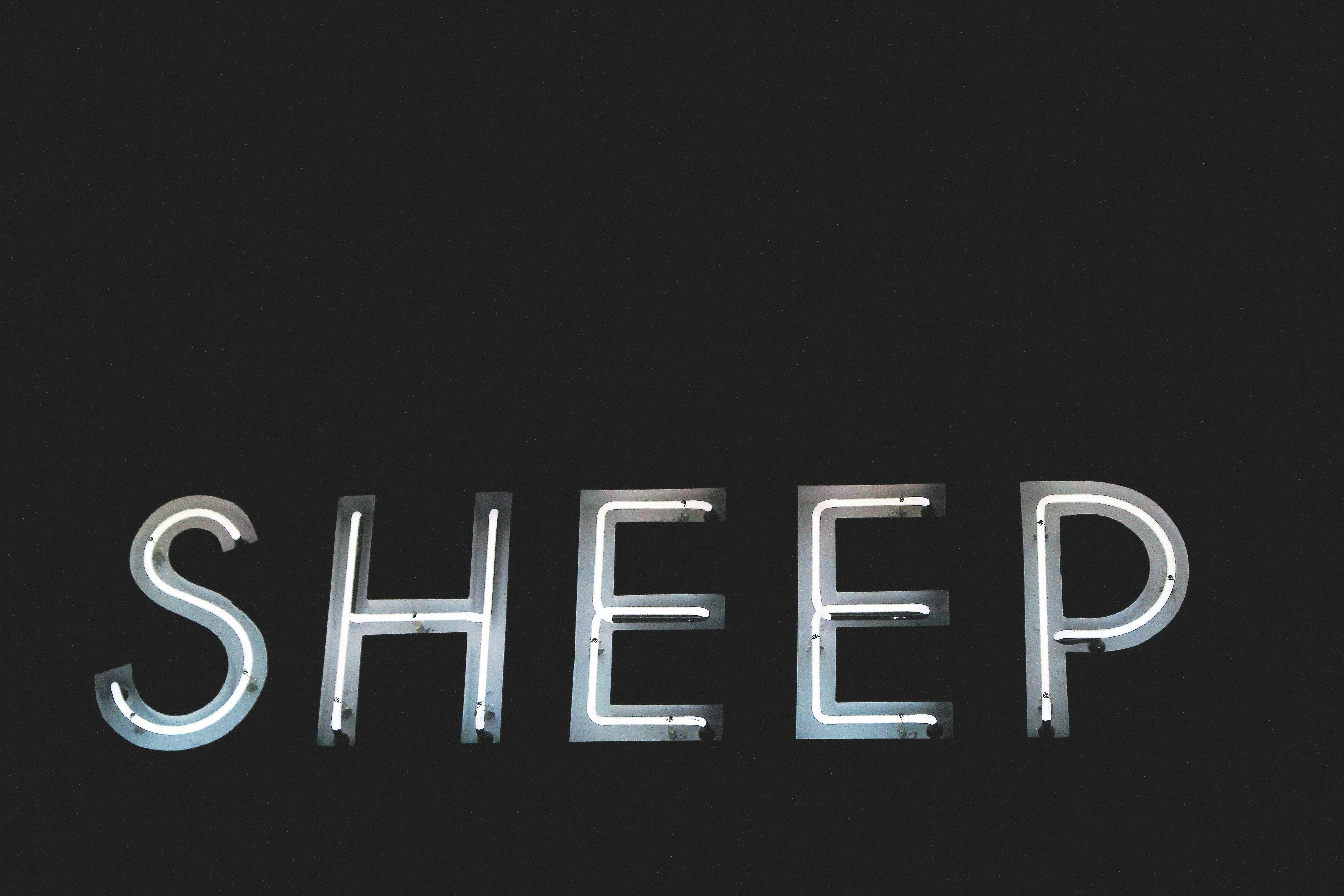 White Neon Sign Sheep