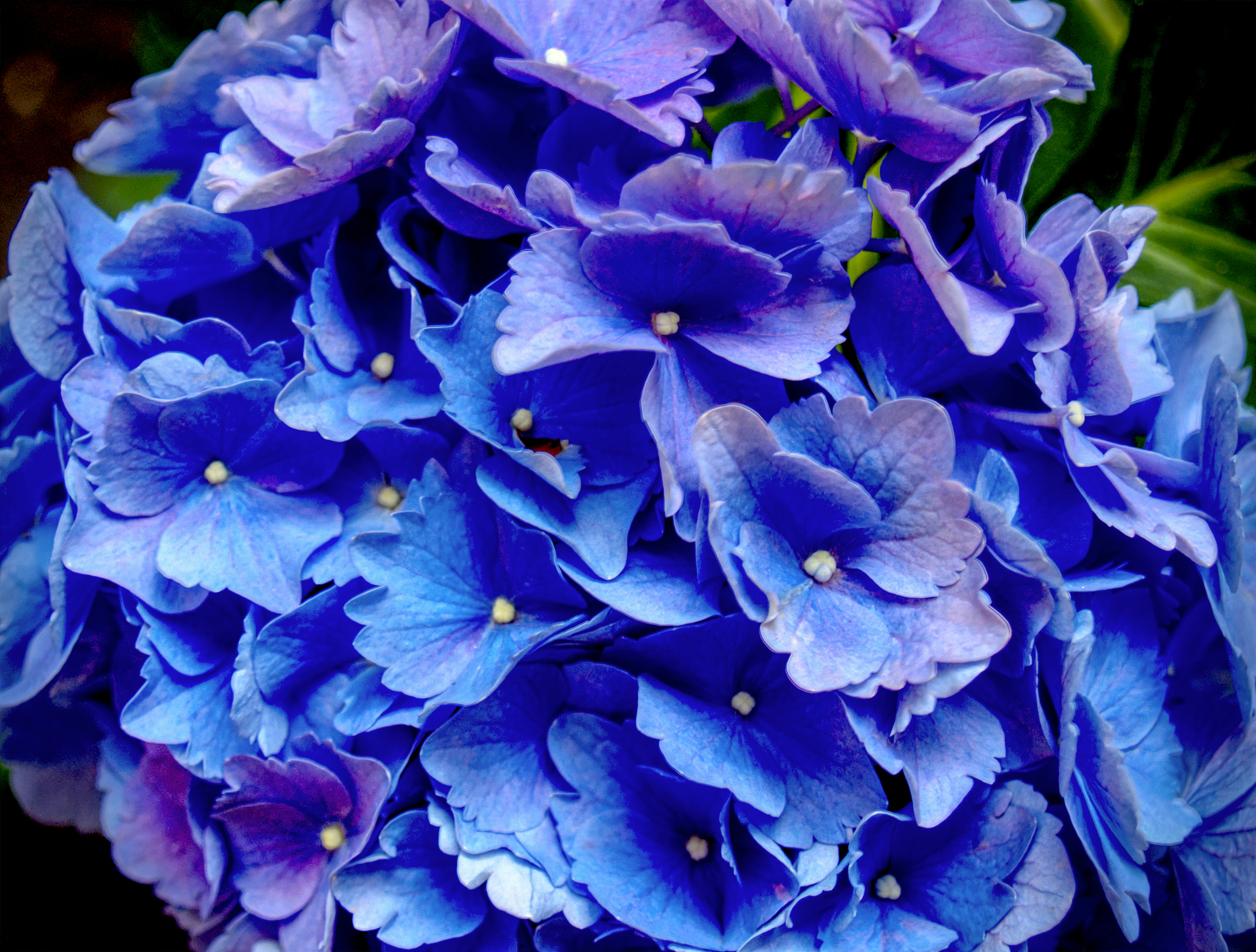 Free Unsplash photo from Mel Greer