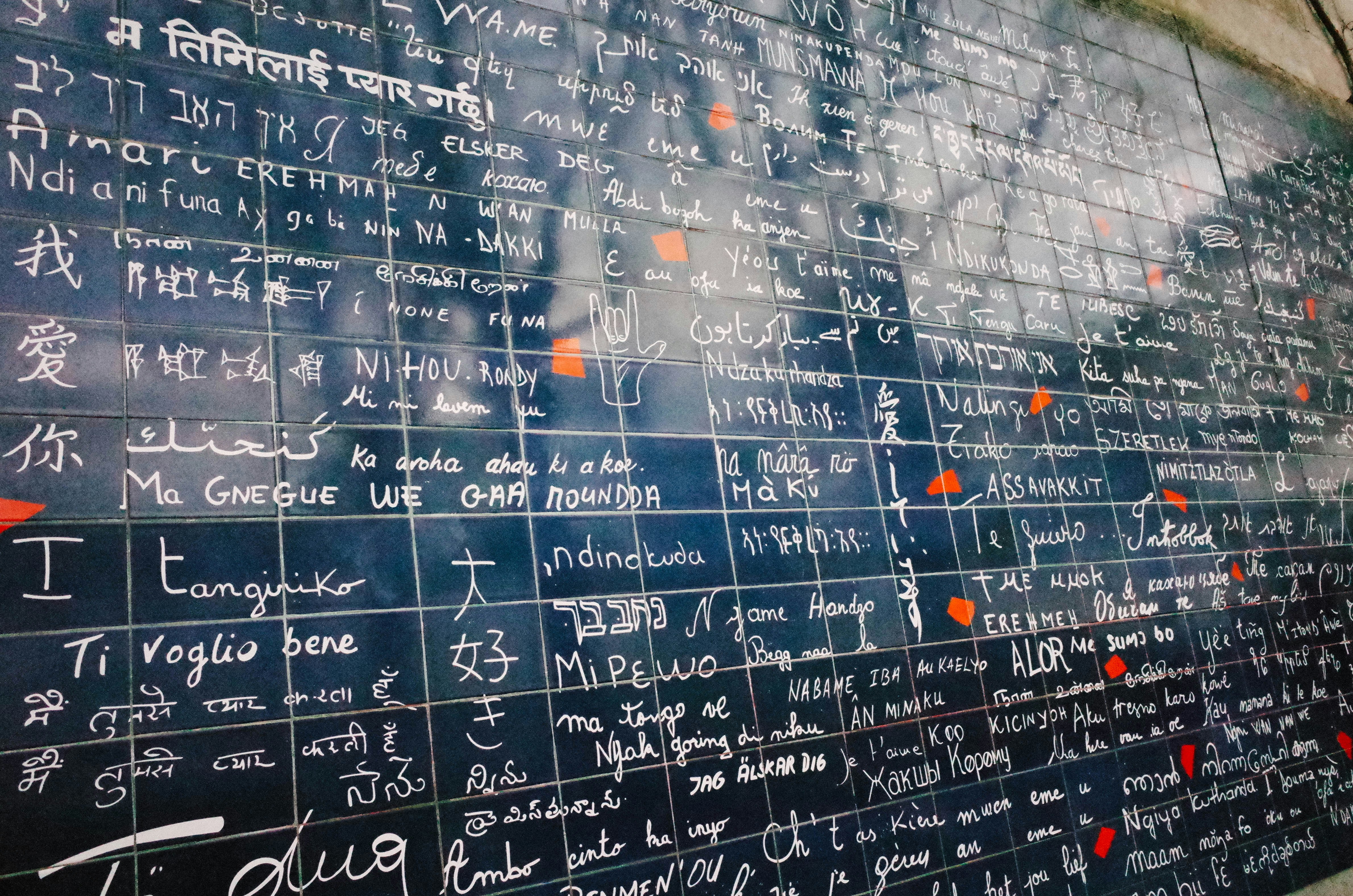 Free Unsplash photo from Banglu Cheng