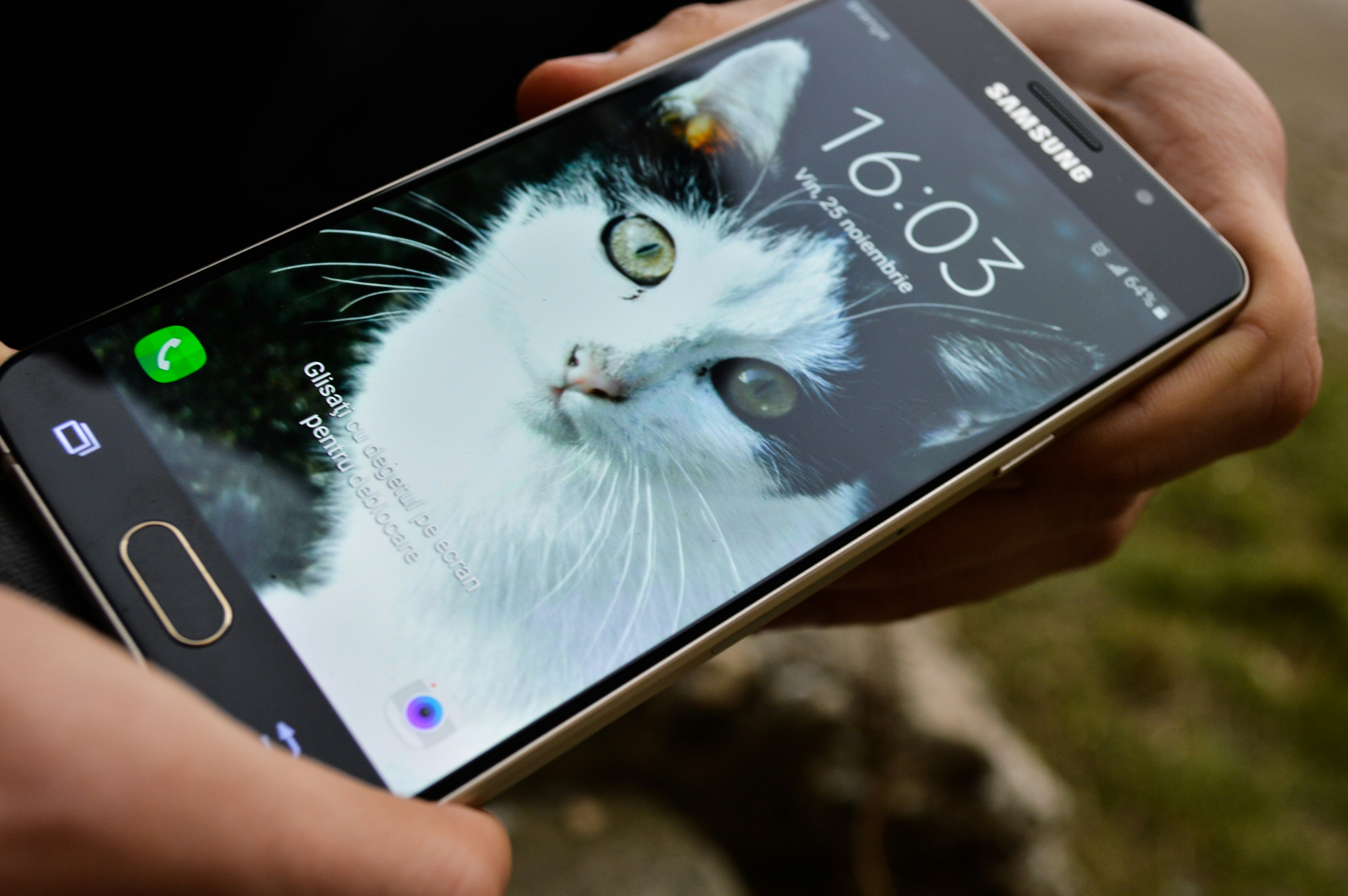 Free Unsplash photo from Cotos Bogdan