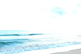 A bright, sunlit ocean shore with waves softly lapping against the sand under a clear blue sky.