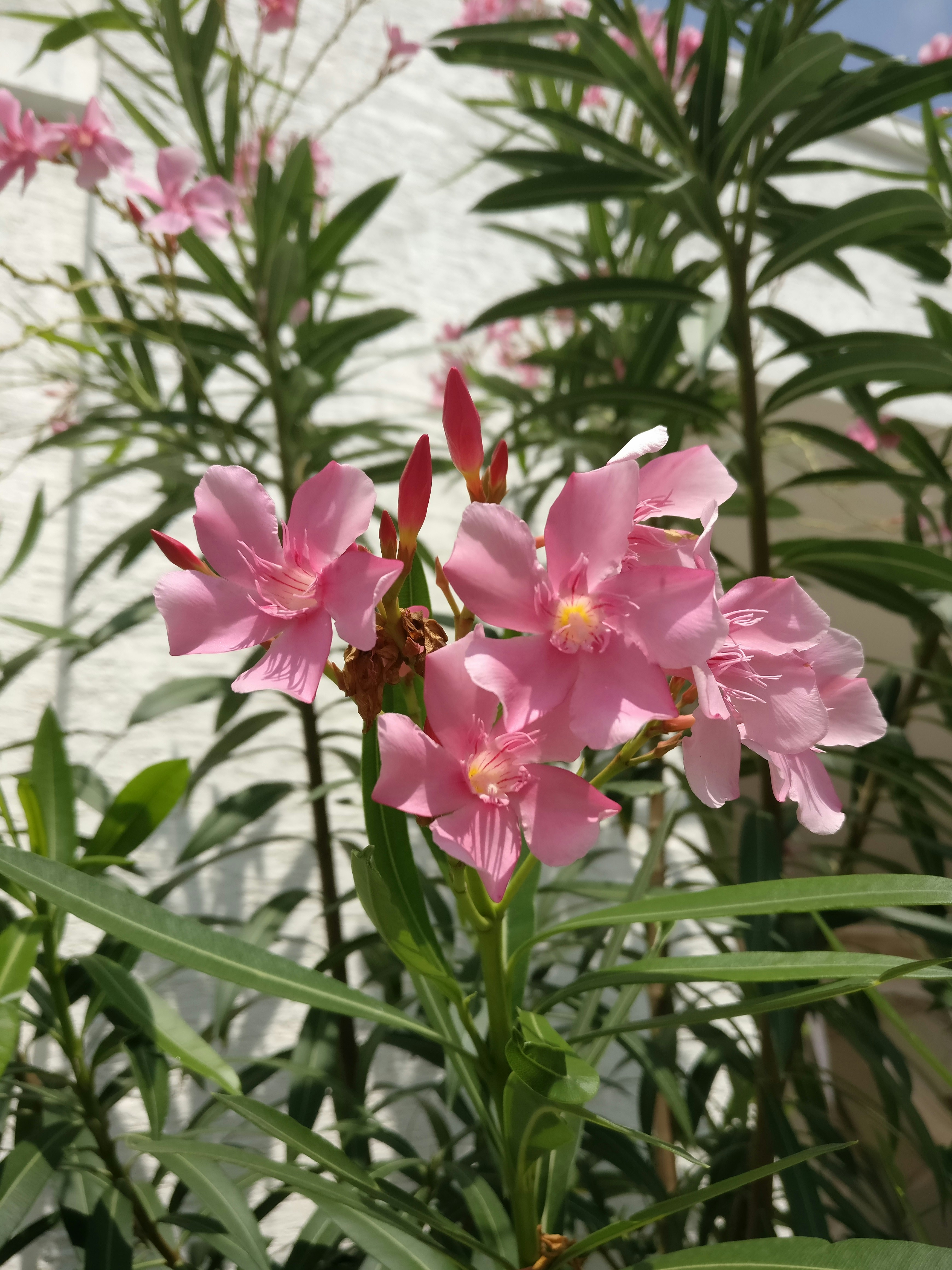 Free Unsplash photo from ViGnesh Miller