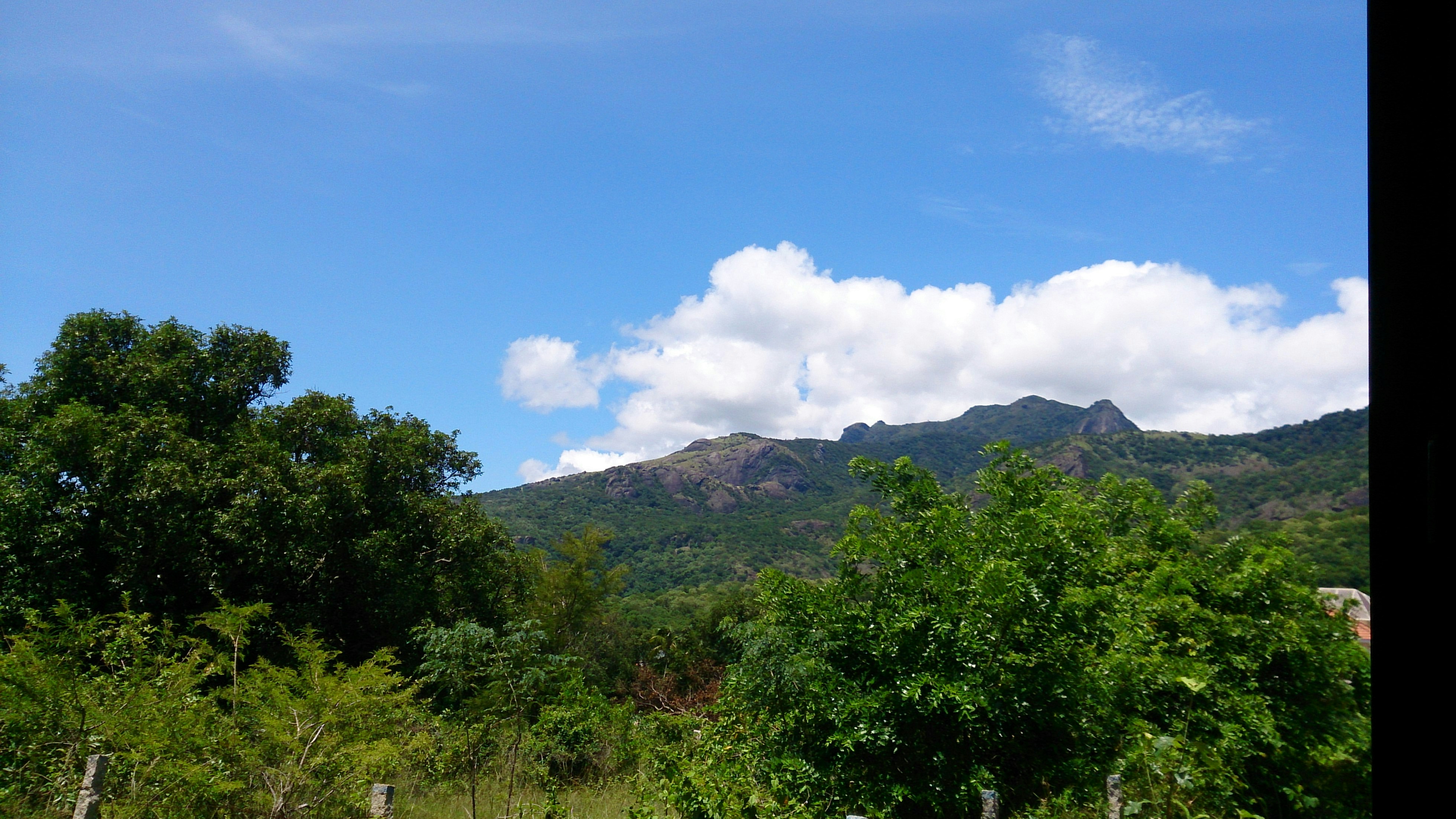 Free Unsplash photo from ViGnesh Miller