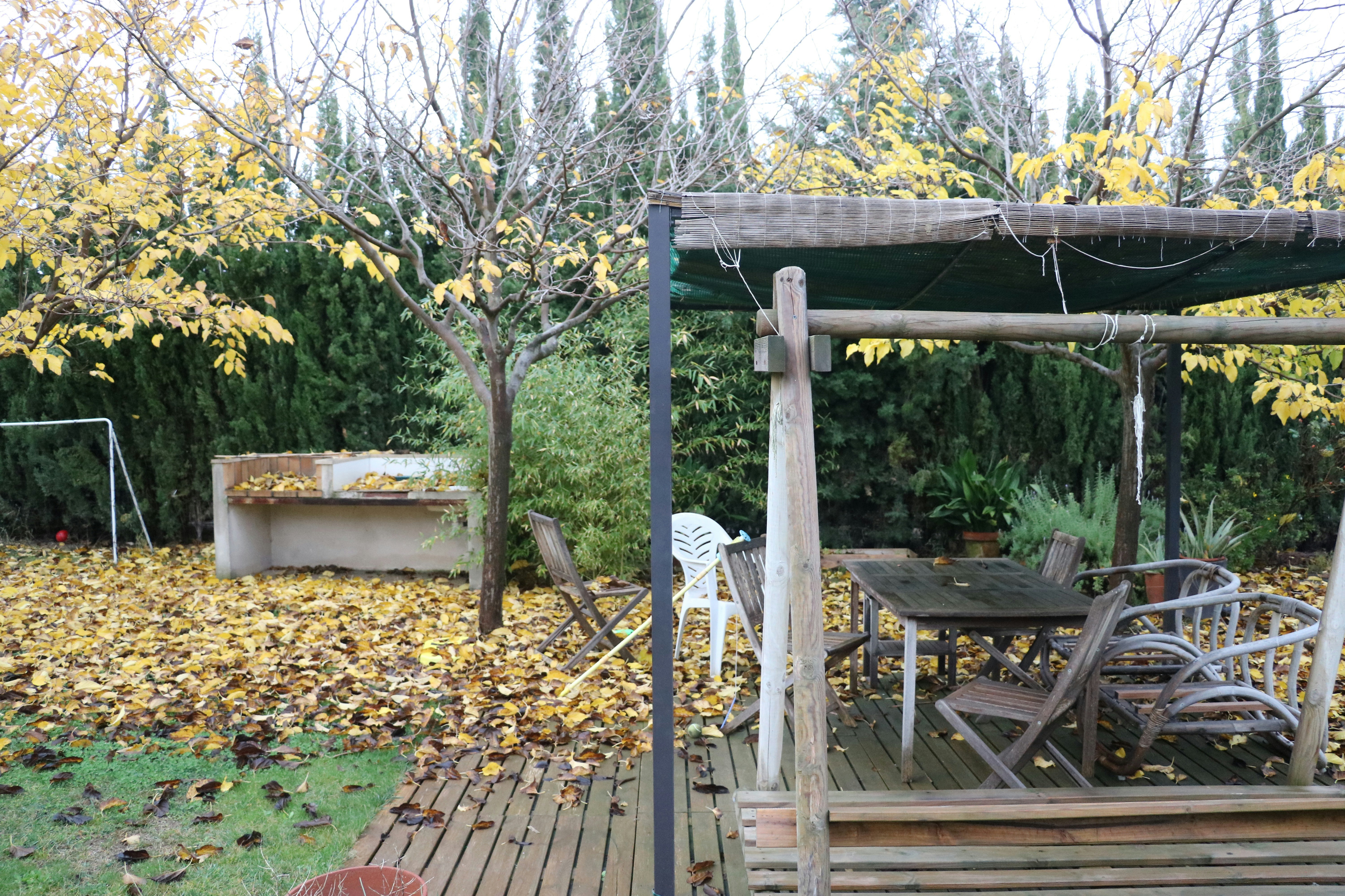 Enhancing Your Garden with Autumn Decor
