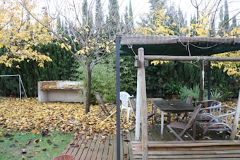 A backyard patio with wooden furniture and a pergola overlooks a fall landscape. The ground is covered with yellow fallen leaves. There are several trees, some bare and others with yellow leaves, surrounded by tall green hedges. A swing set partially obscured by leaves is in the background.