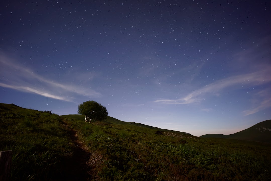 tree on mountain under cloudy sky, Night in the Massif Central