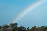 A hand-painted rainbow stretching across a blue sky.