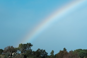 A hand-painted rainbow stretching across a blue sky.