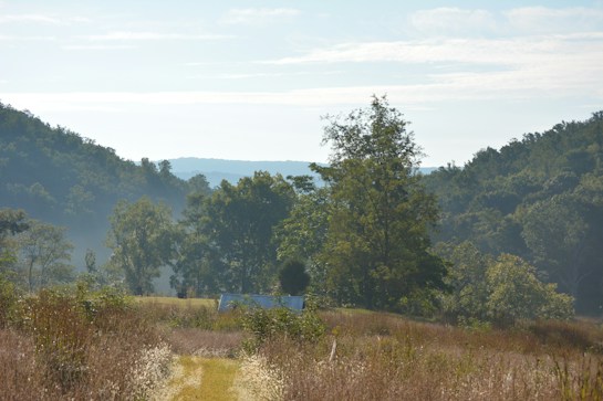 A peaceful, rural landscape with a grassy pathway leading towards a small, white-roofed structure in the distance. Surrounded by tall grasses and fields, the scene is framed by lush green trees under a clear sky. Light mist hugs the ground, creating a serene and tranquil atmosphere.
