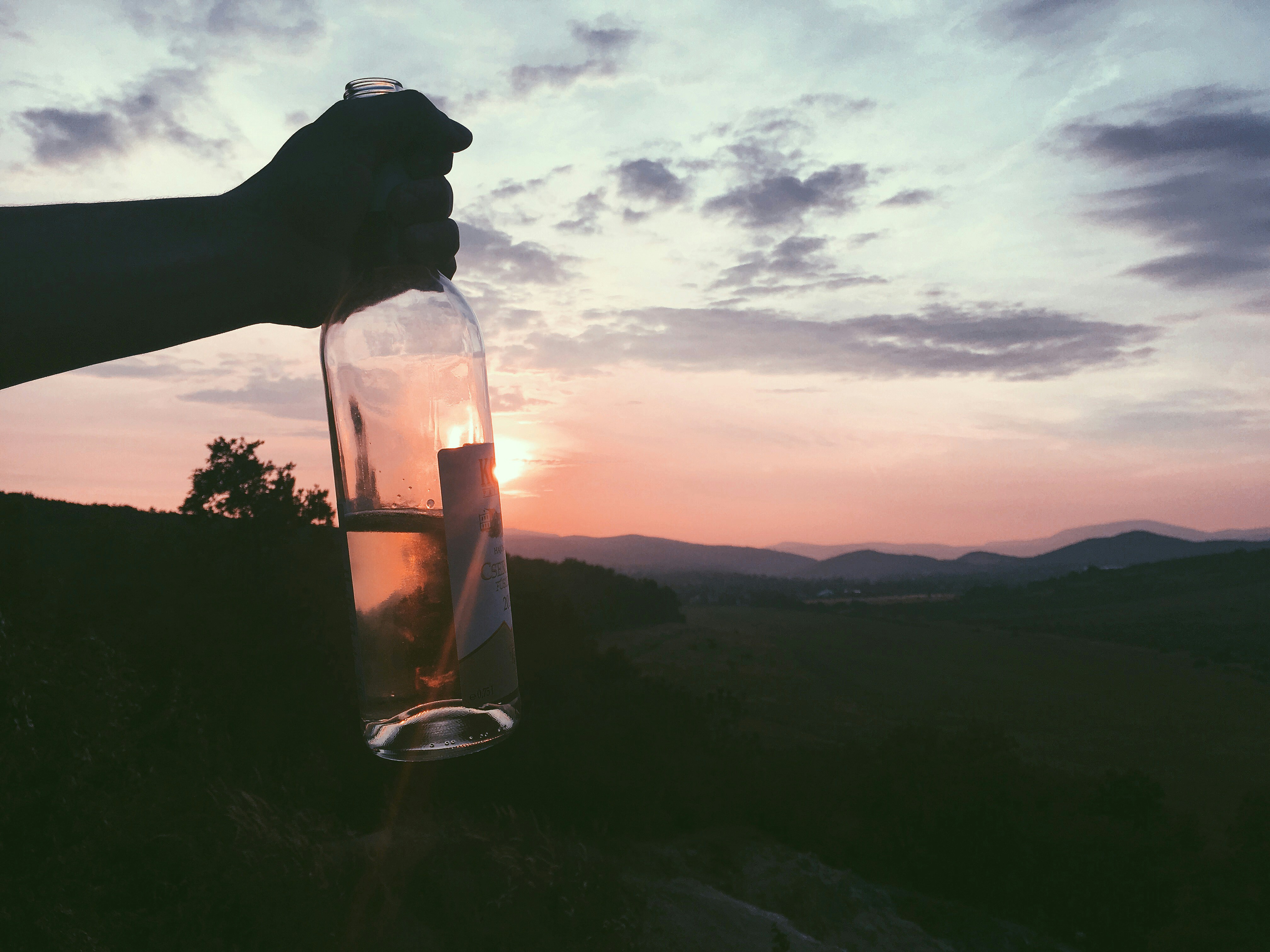 Free Unsplash photo from Viktoria Molnar