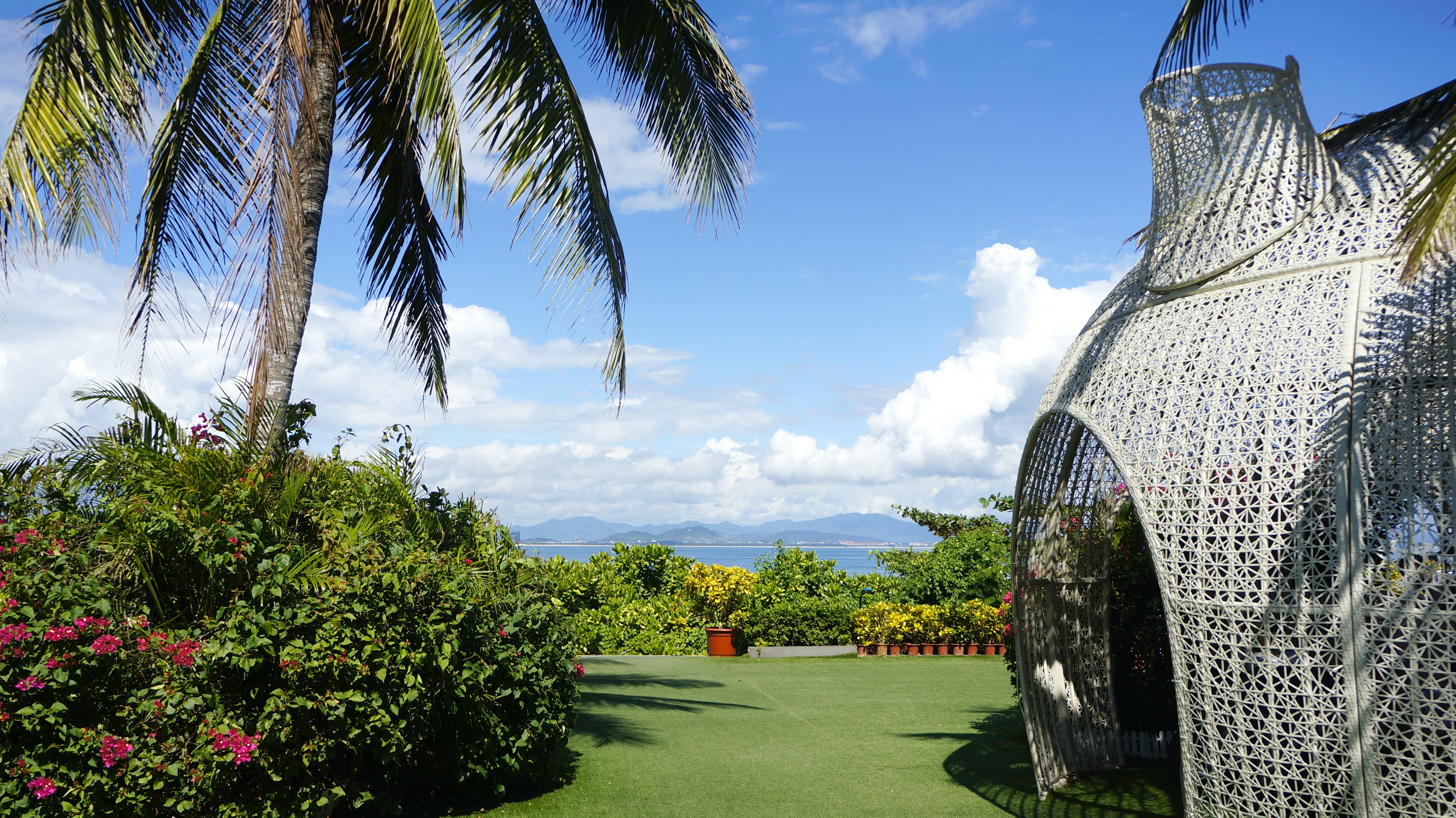 Free Unsplash photo from Riku Lu