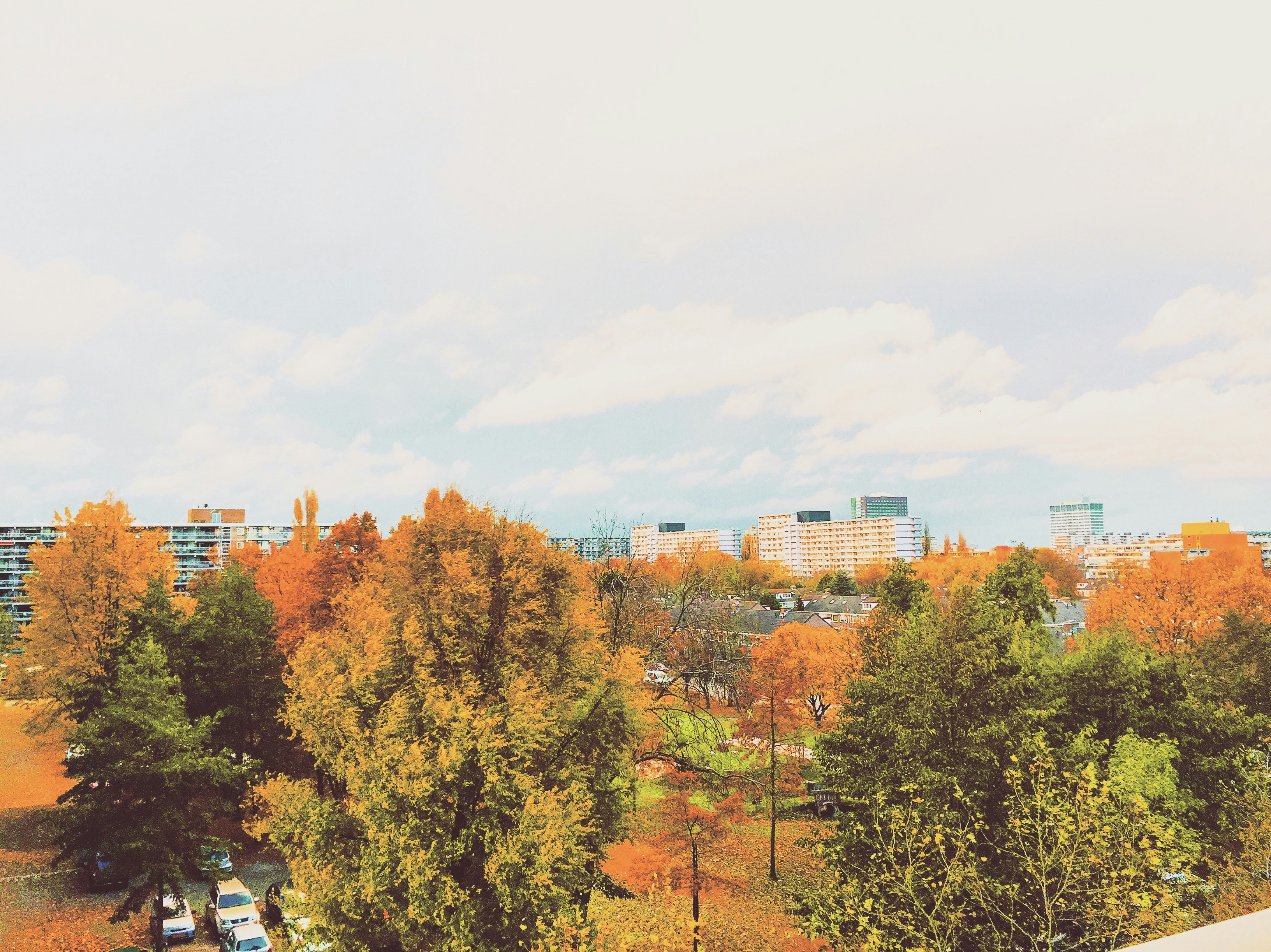 Free Unsplash photo from Noel Grijpink