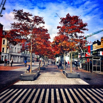 A vibrant community planting trees in an urban park.