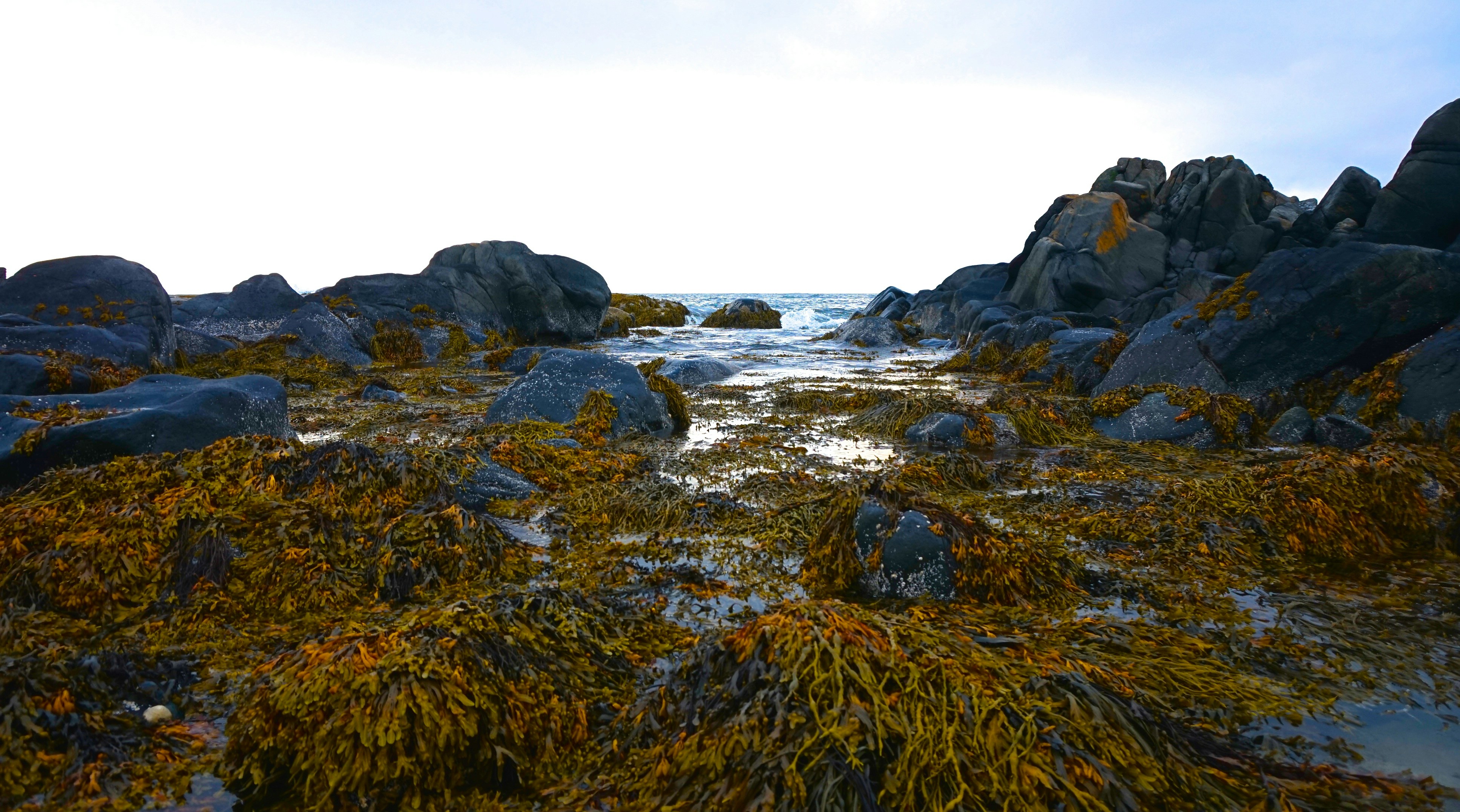 Free Unsplash photo from Beth Colman