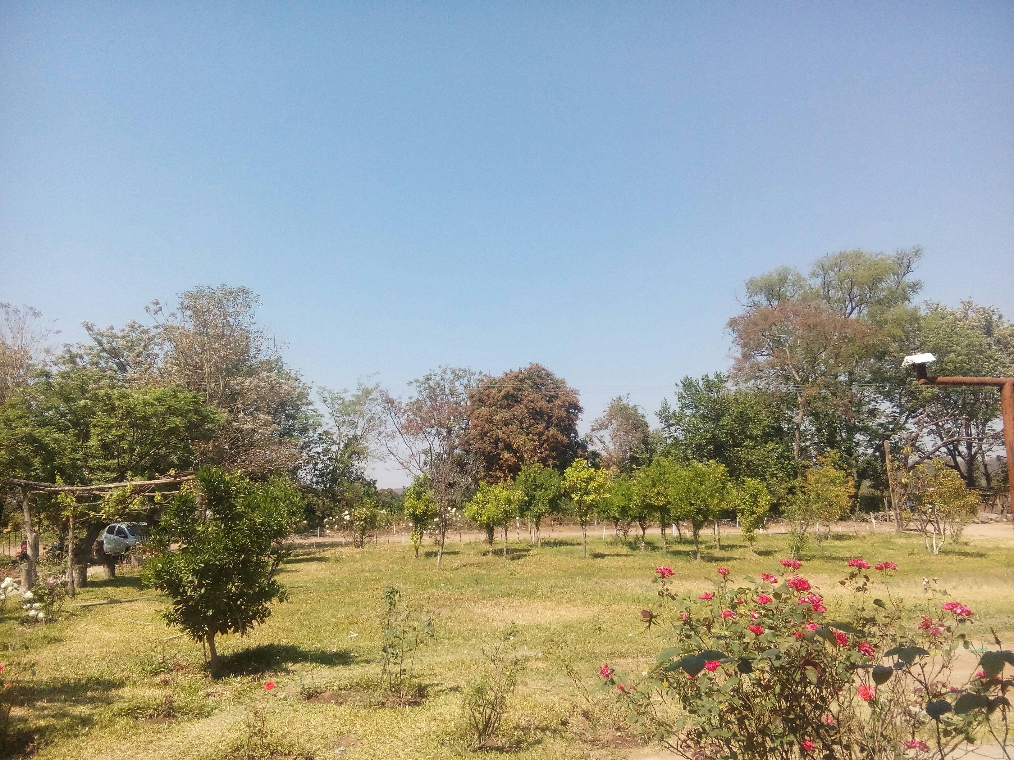 Free Unsplash photo from Raul Perez