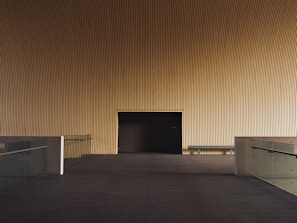 Elegant pivot door with ACM material in a contemporary entrance hall.