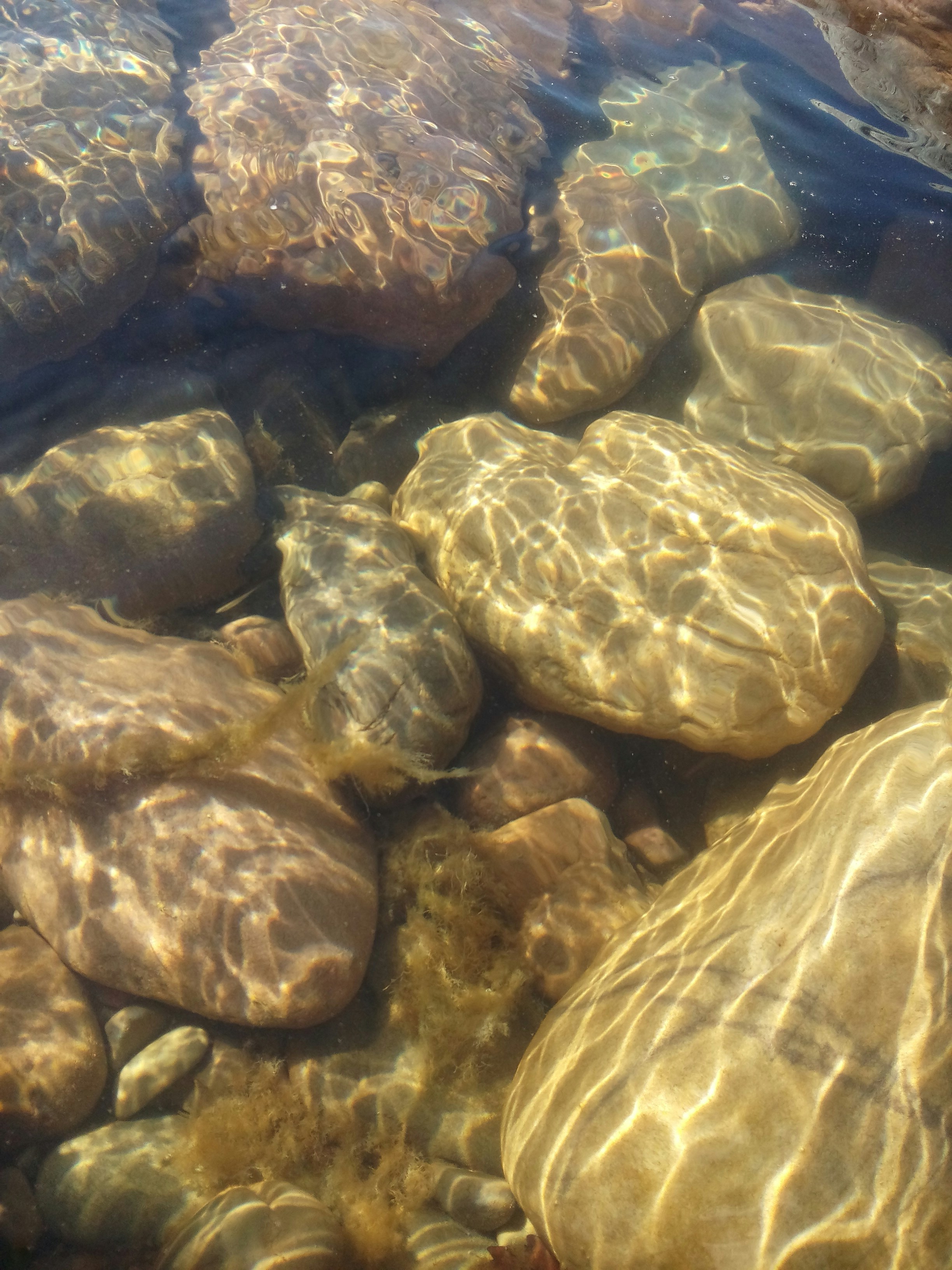 Free Unsplash photo from Raul Perez