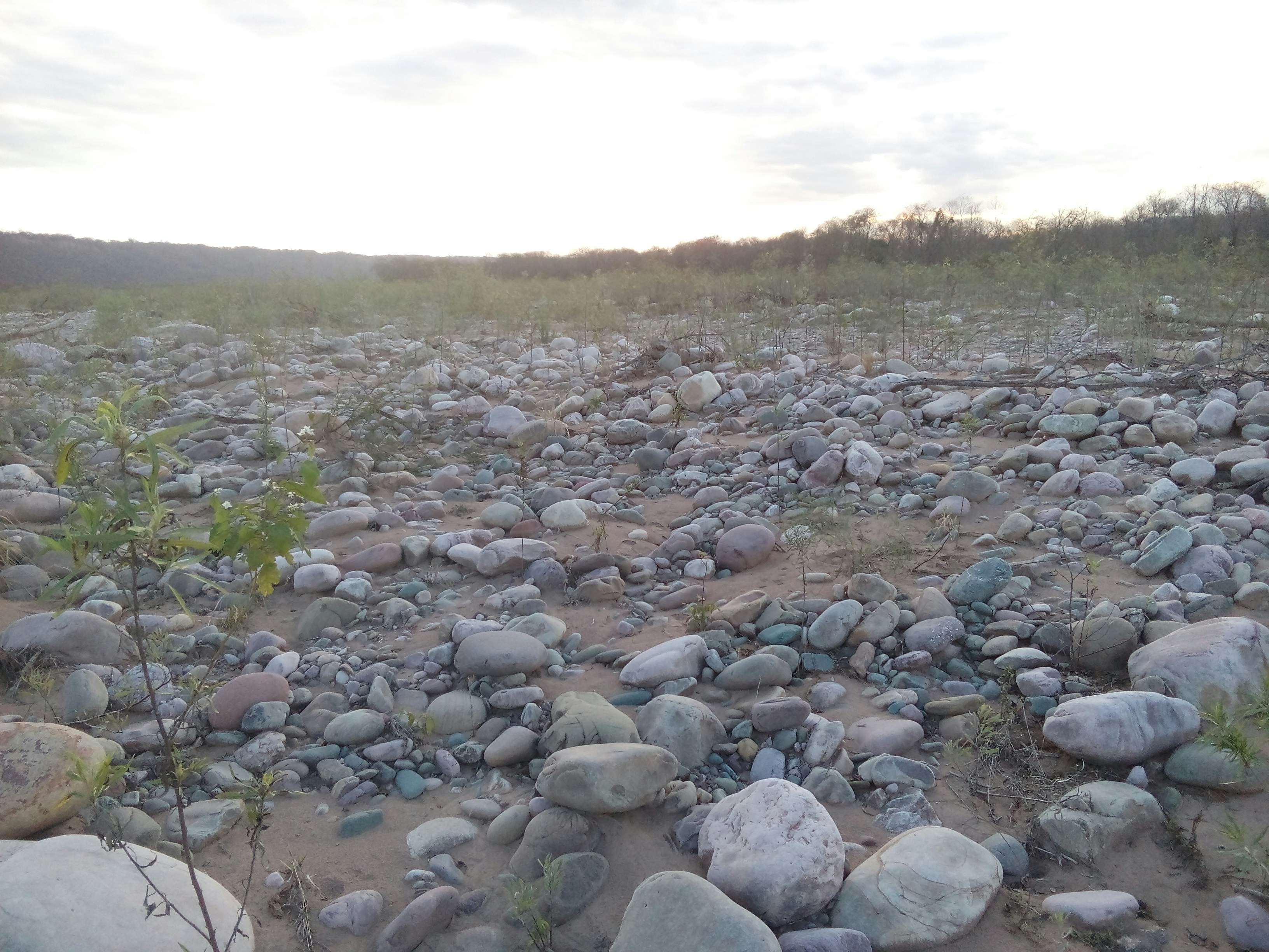 Free Unsplash photo from Raul Perez