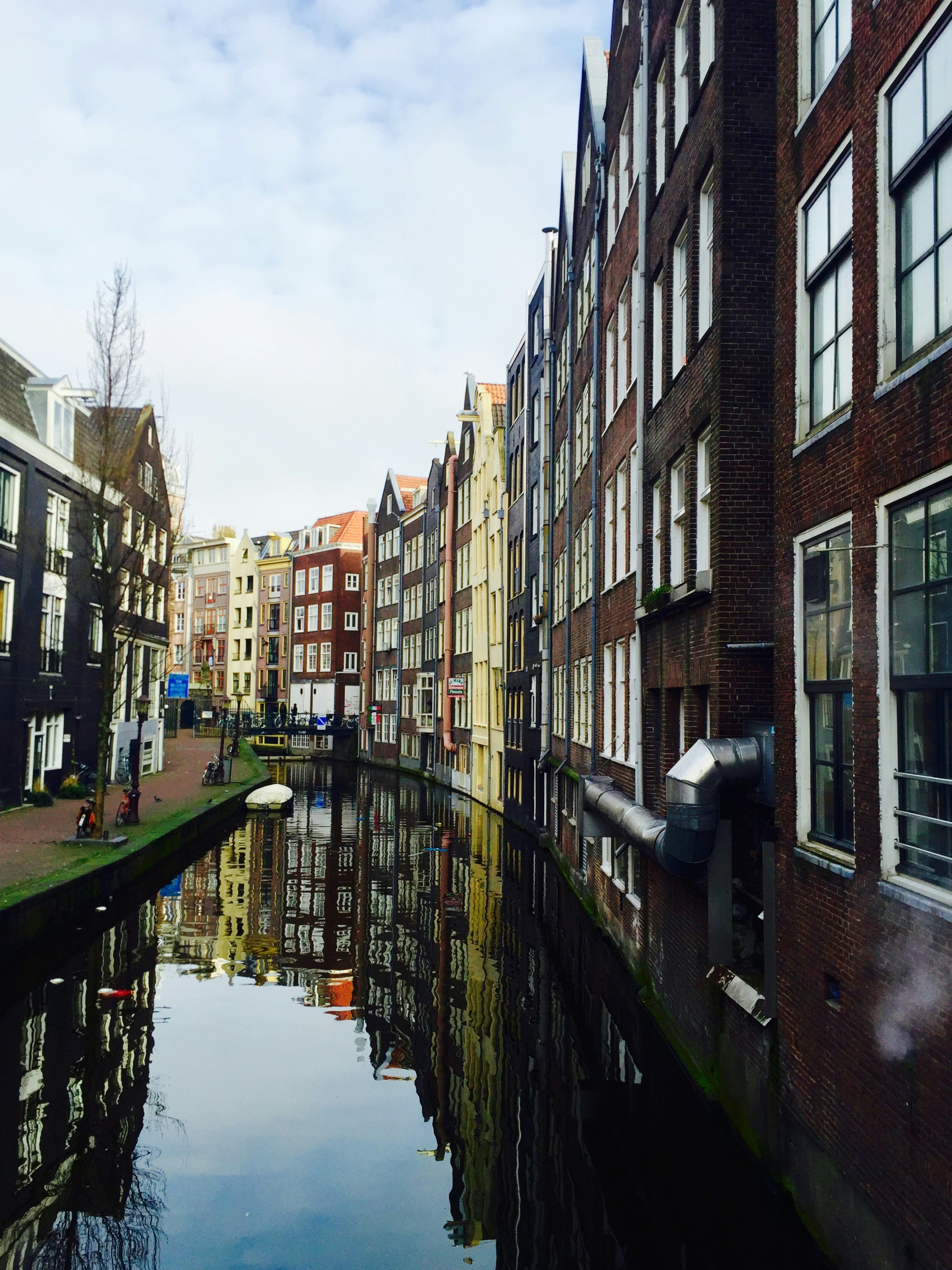 Free Unsplash photo from Alice Giuliano