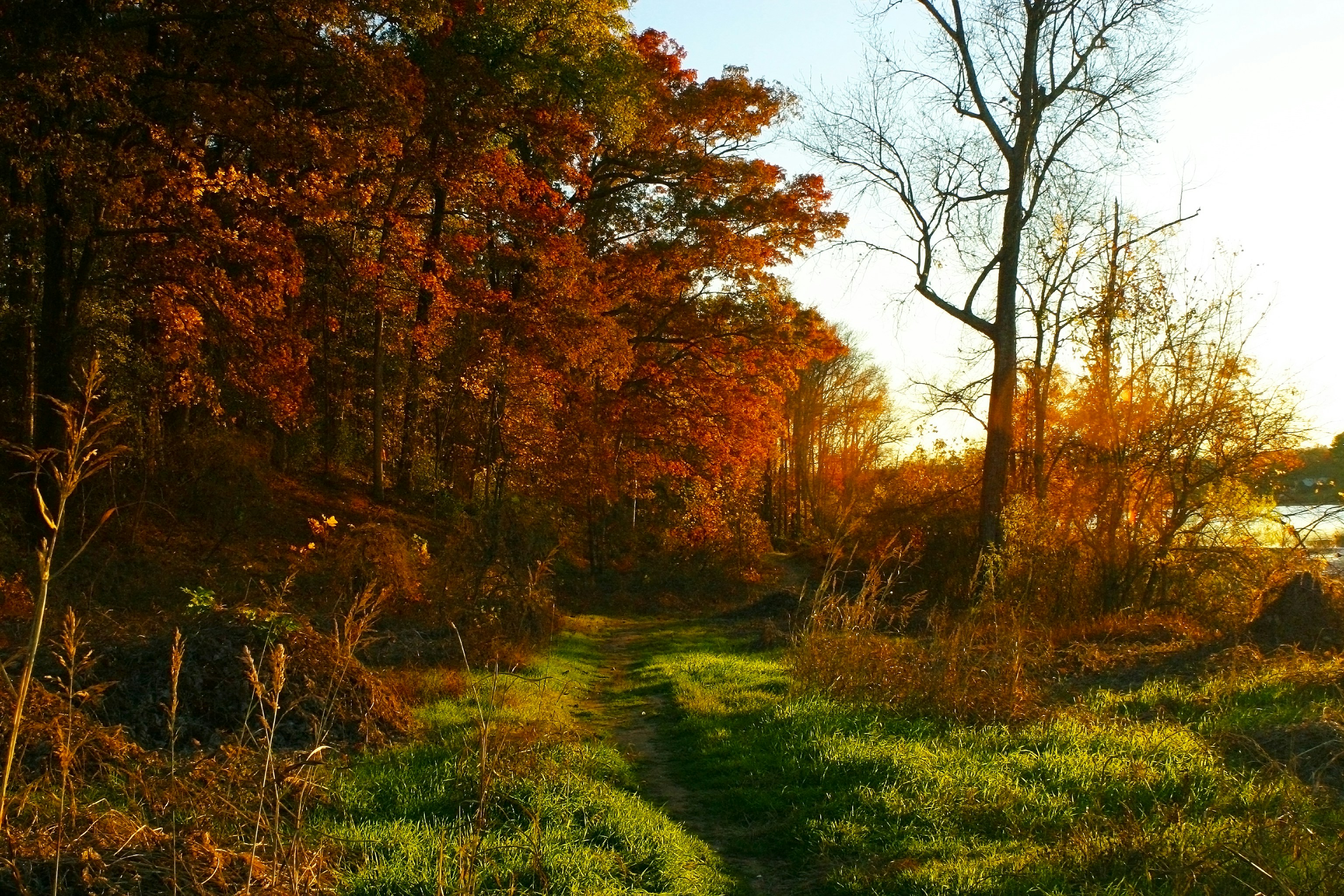 Free Unsplash photo from Sarah Ammons