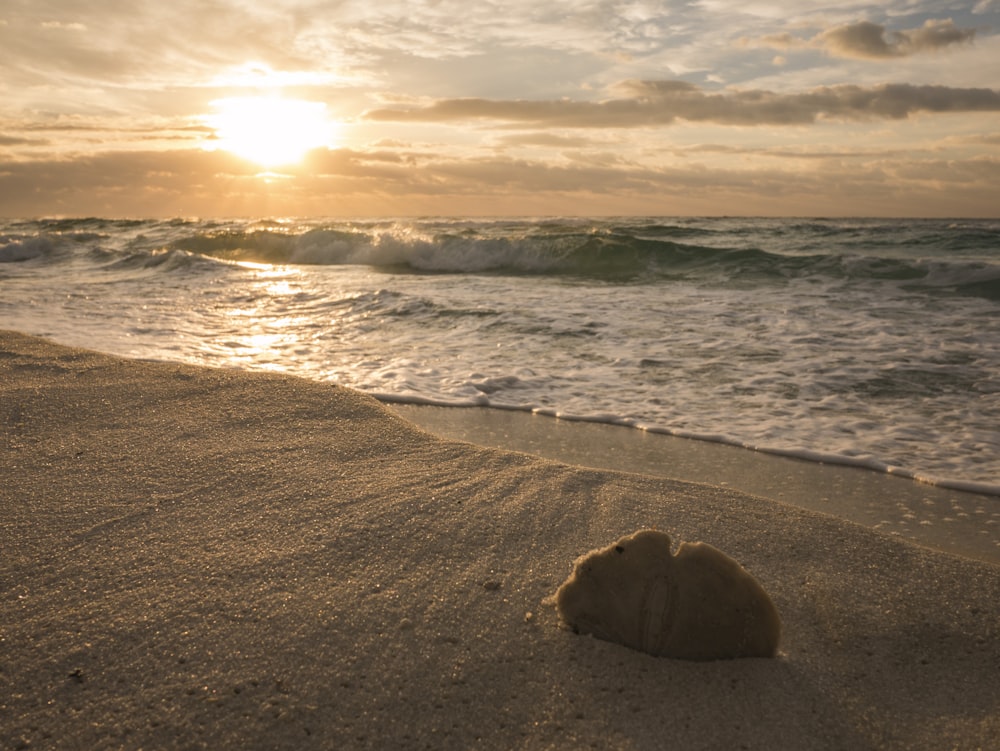 Cinza e laranja Pôr do sol céu nublado sobre a praia