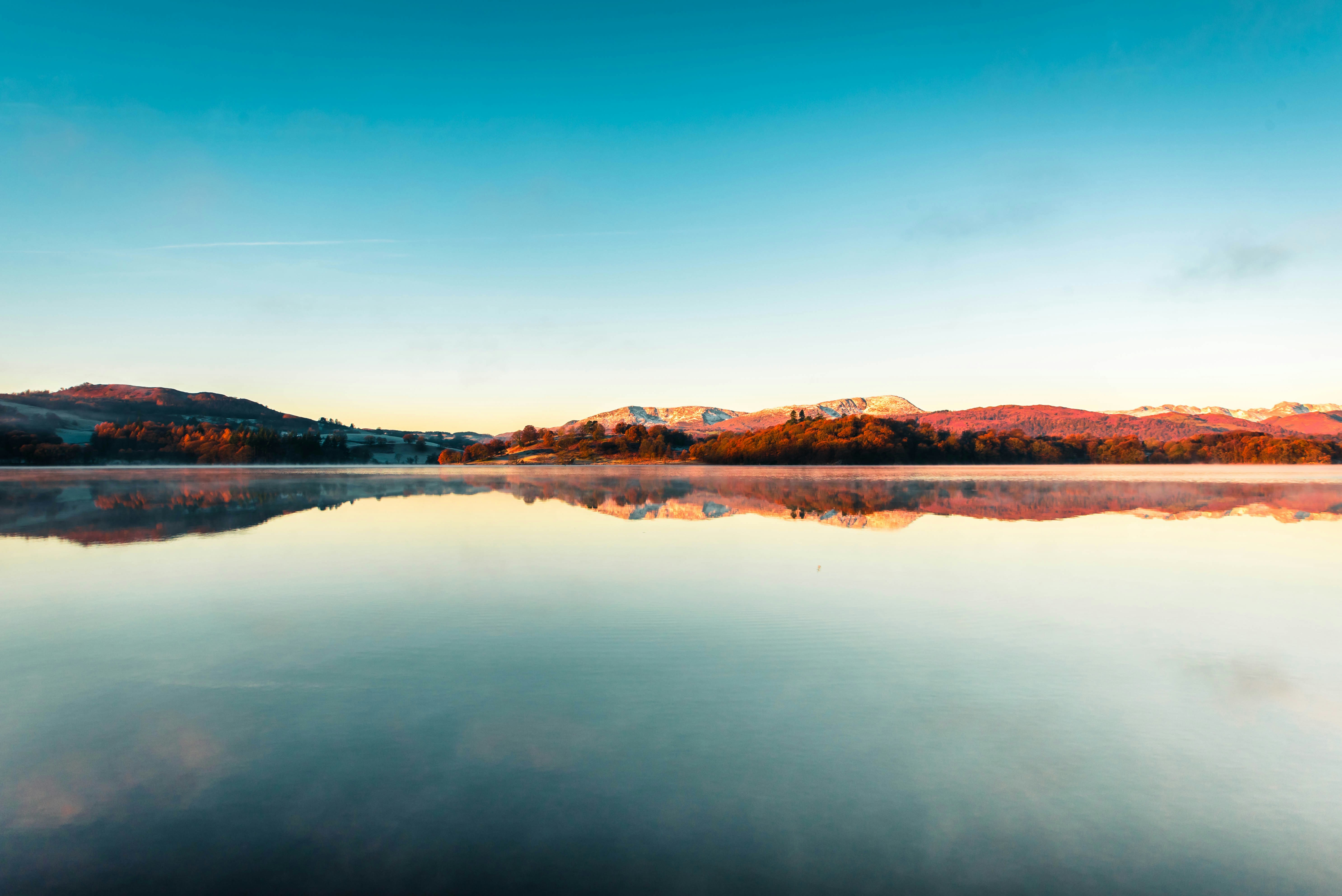 Free Unsplash photo from Rikki Chan