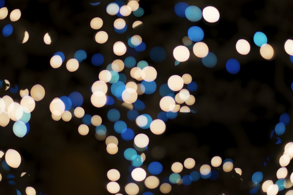 blue and brown bookeh lights