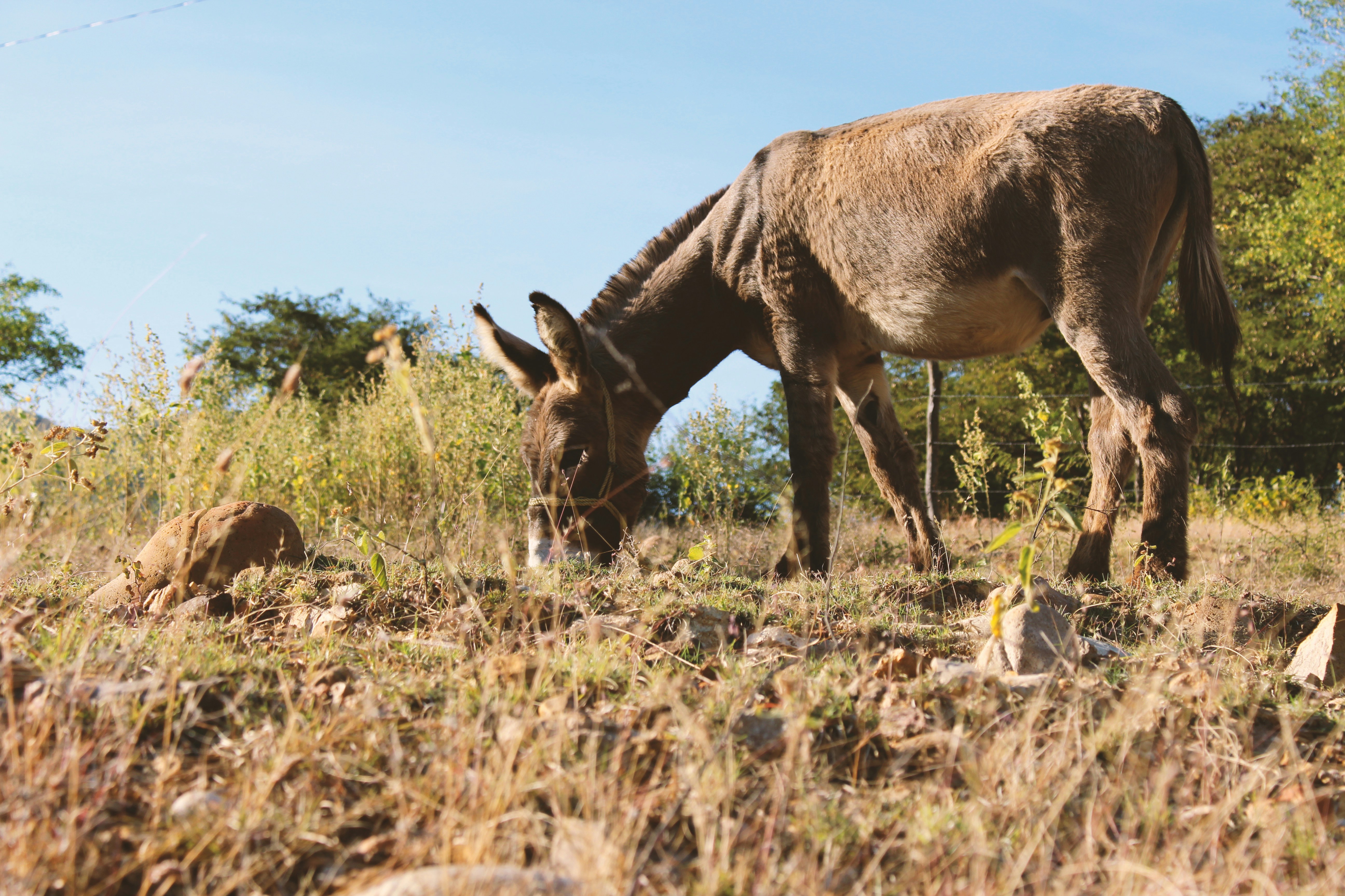 Free Unsplash photo from Ruth Ochoa