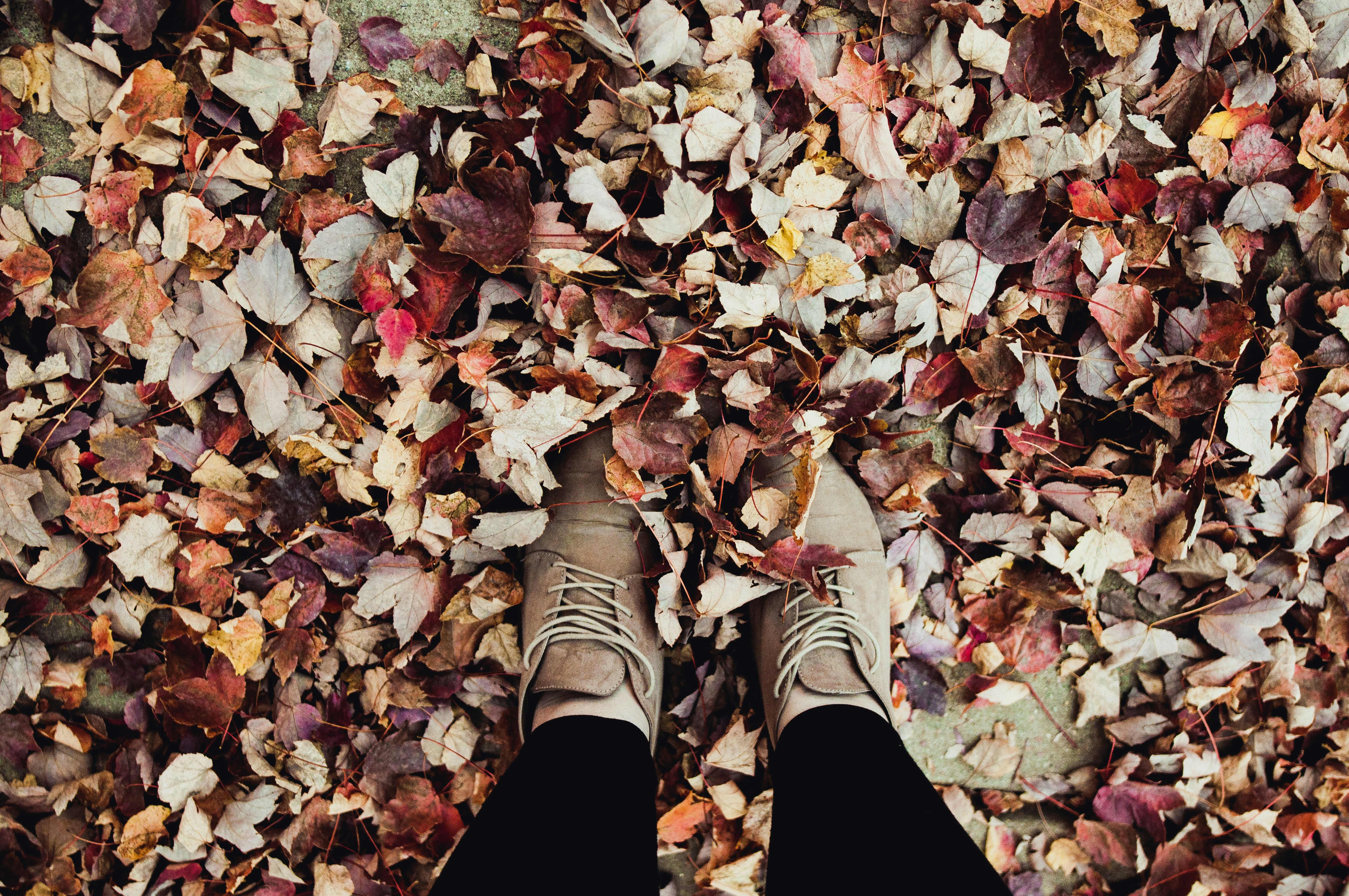 Free Unsplash photo from Charis Gegelman