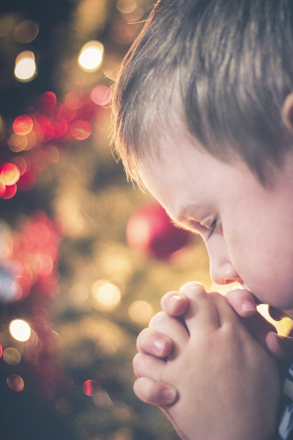 A little boy praying in front of a Christmas tree.